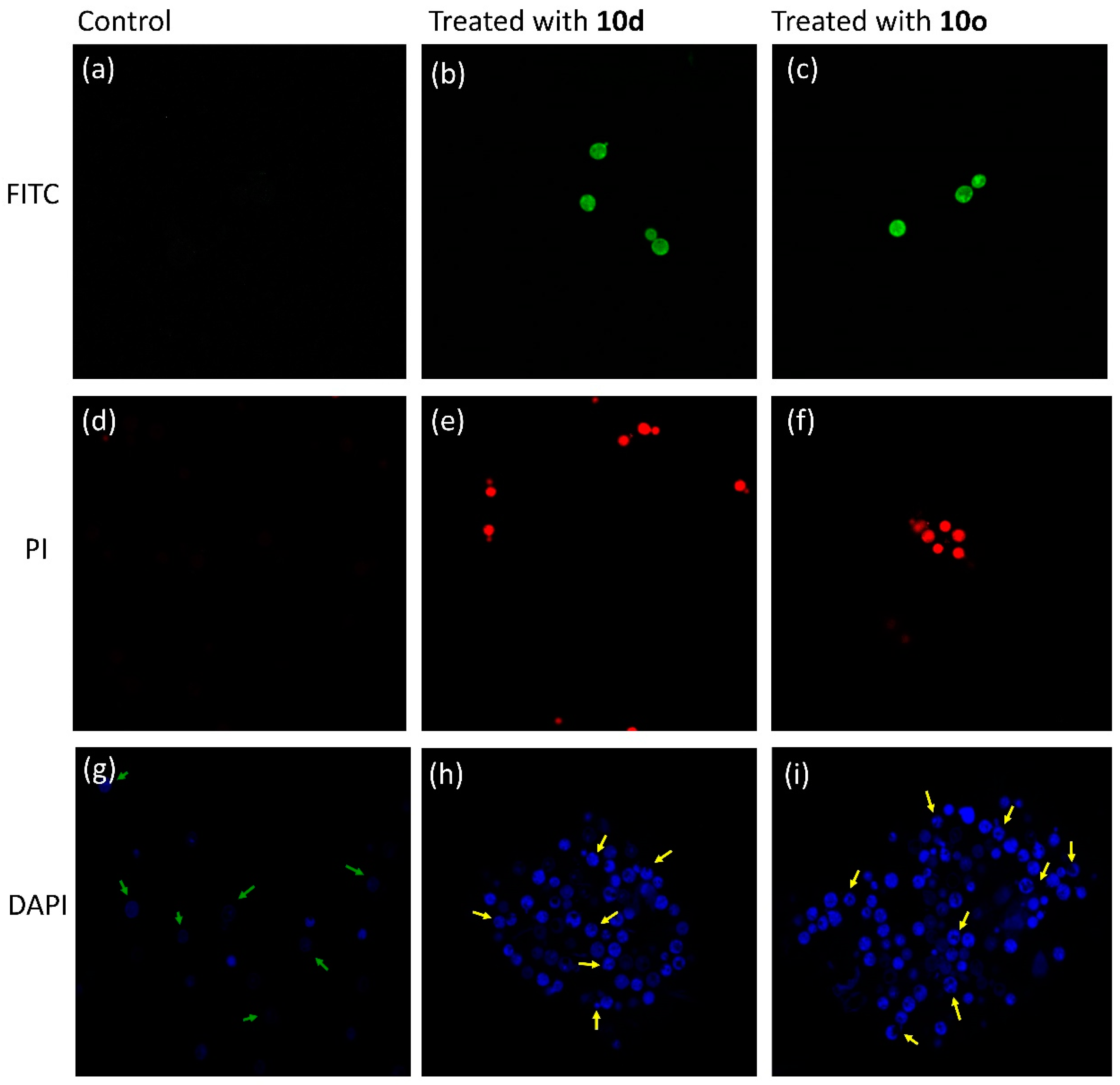 Molecules 28 00087 g009