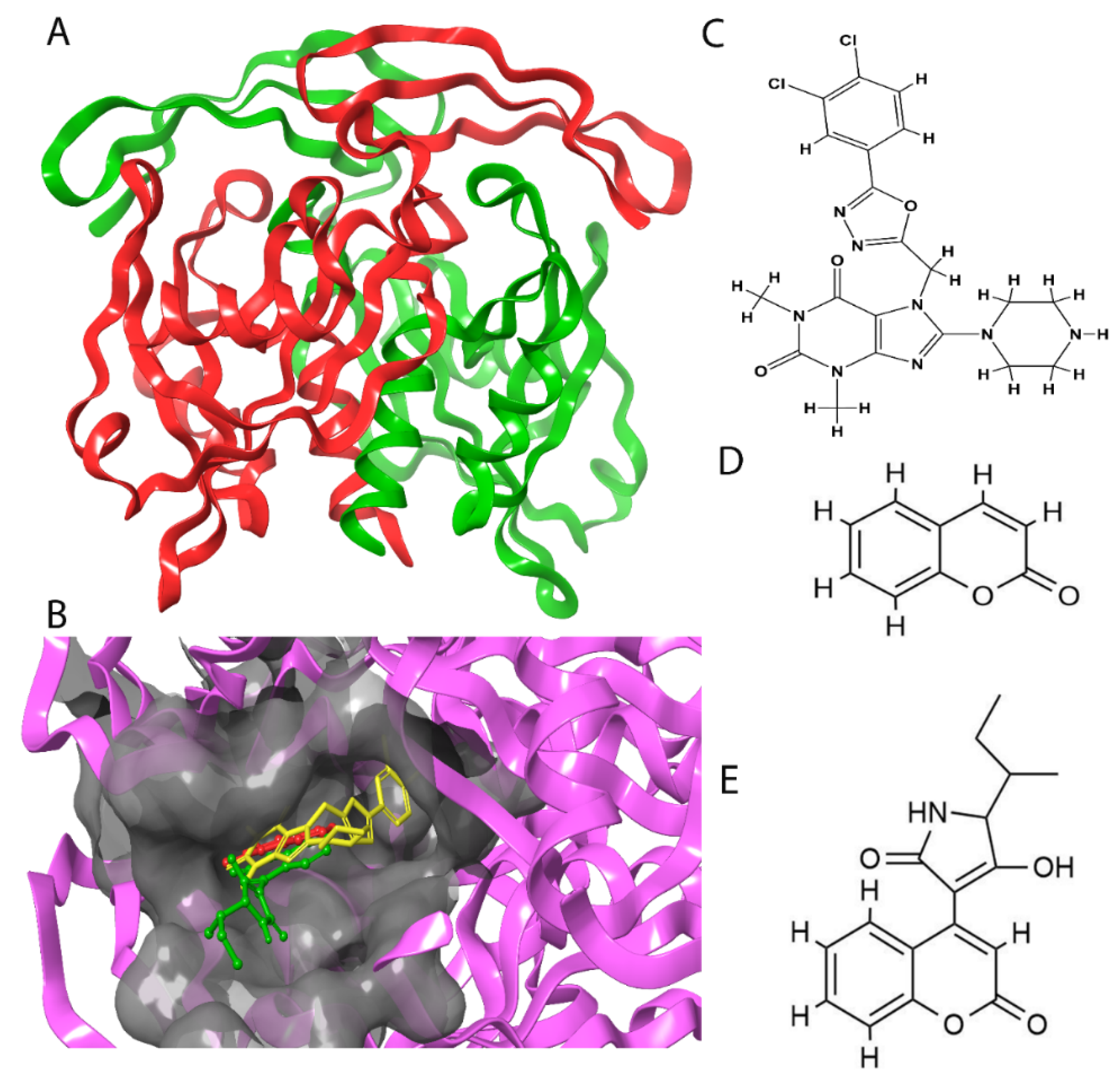 Molecules 28 00089 g001