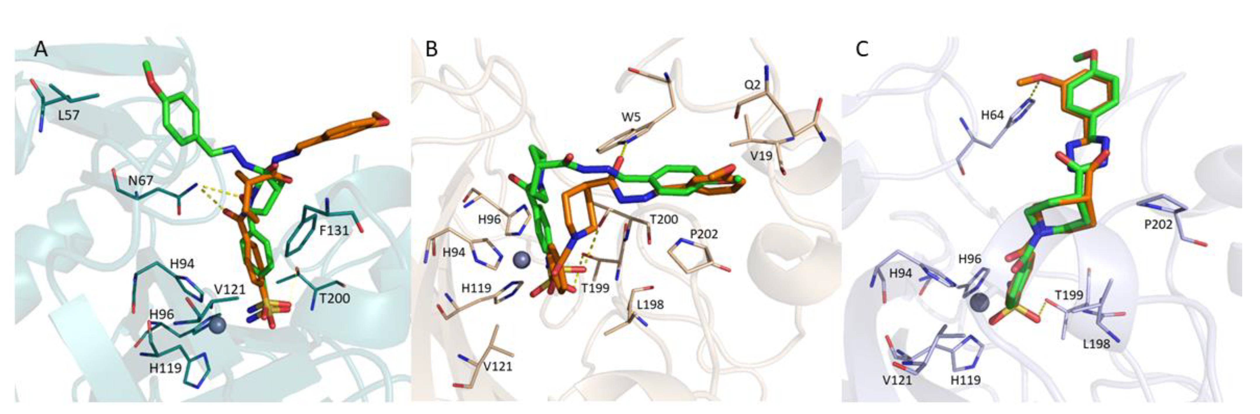 Molecules 28 00091 g001