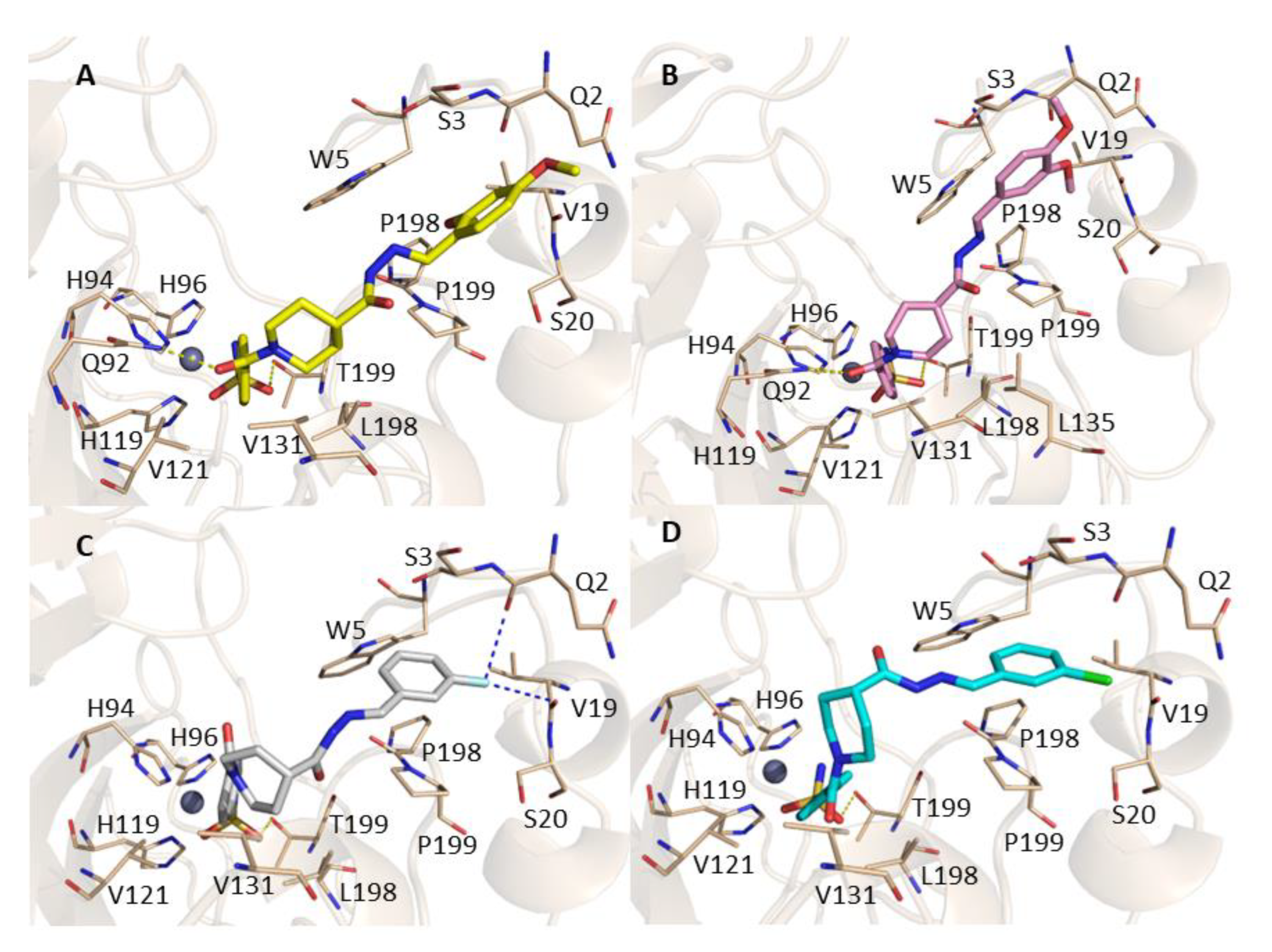 Molecules 28 00091 g003