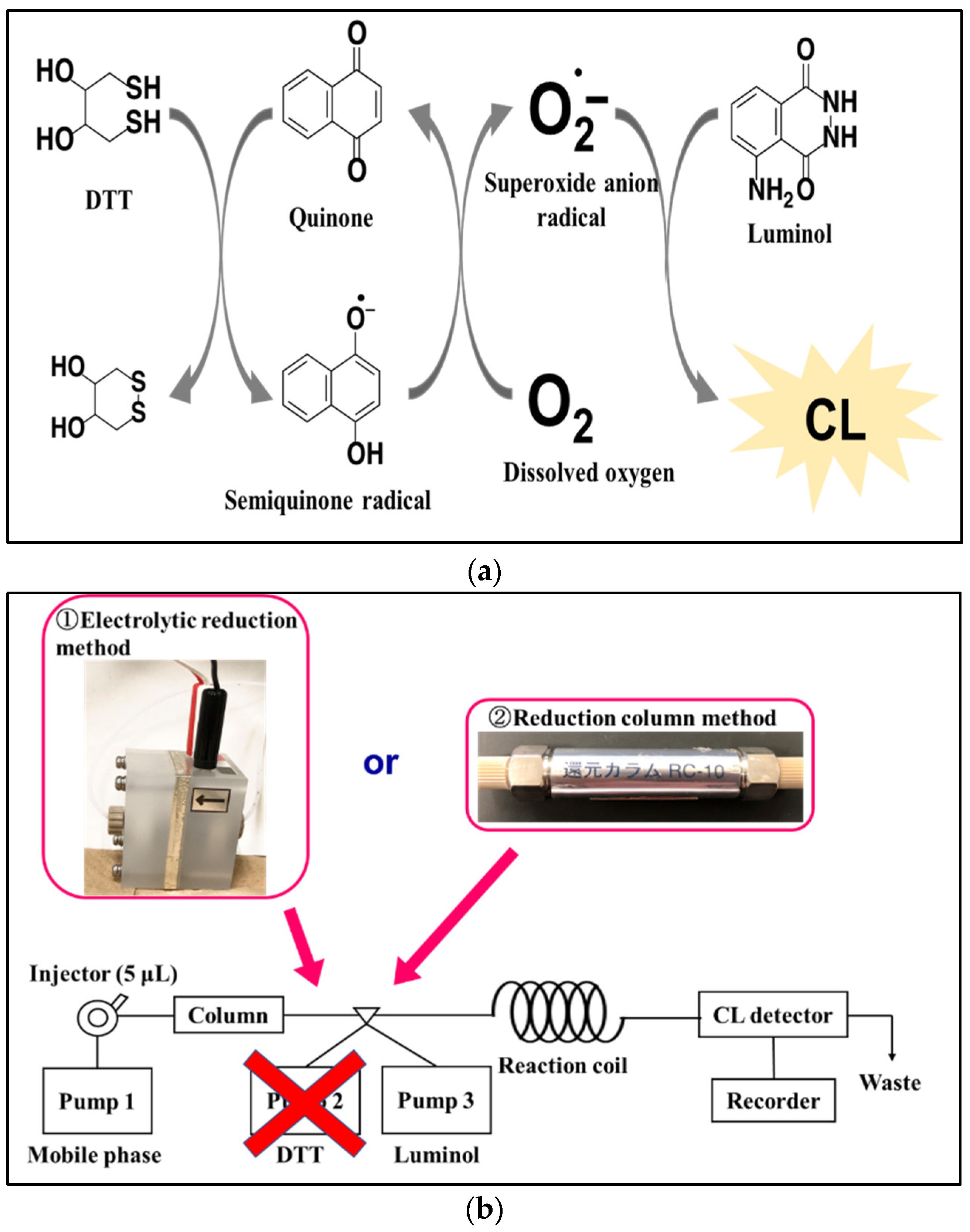 Molecules 28 00096 g001
