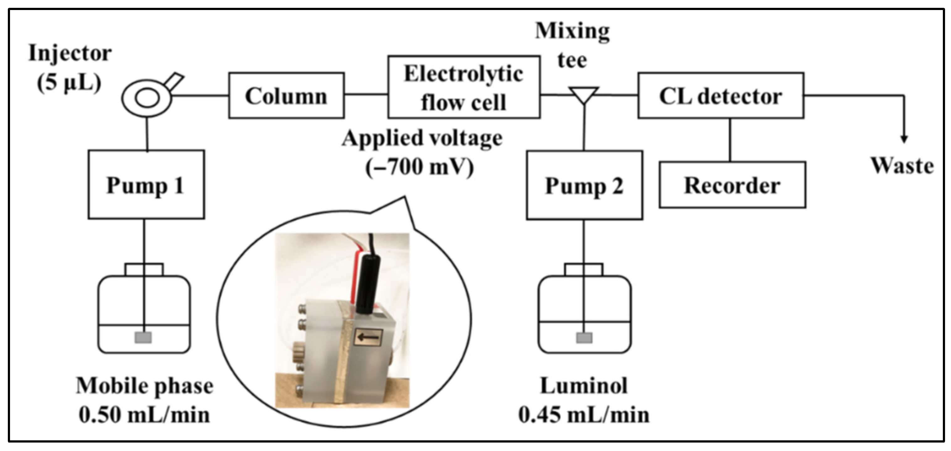 Molecules 28 00096 g002