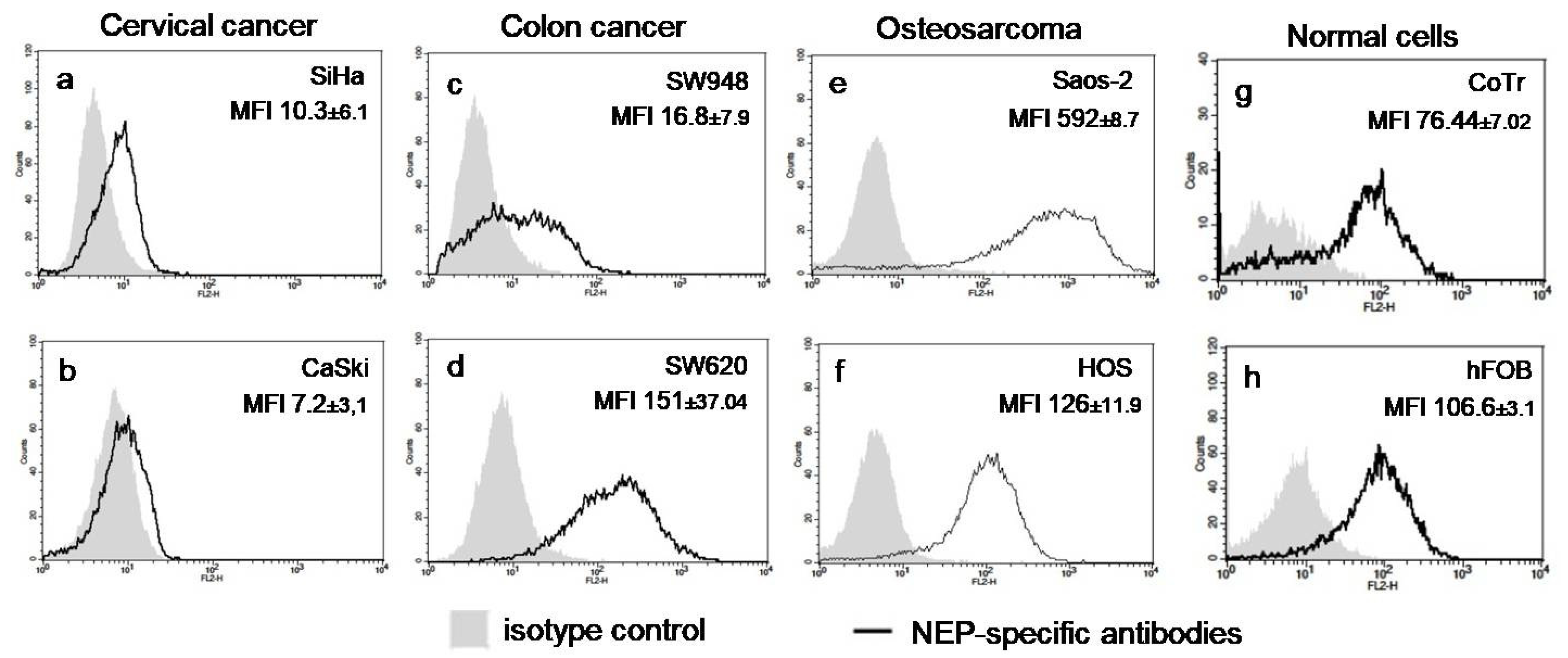 Molecules 28 00097 g001