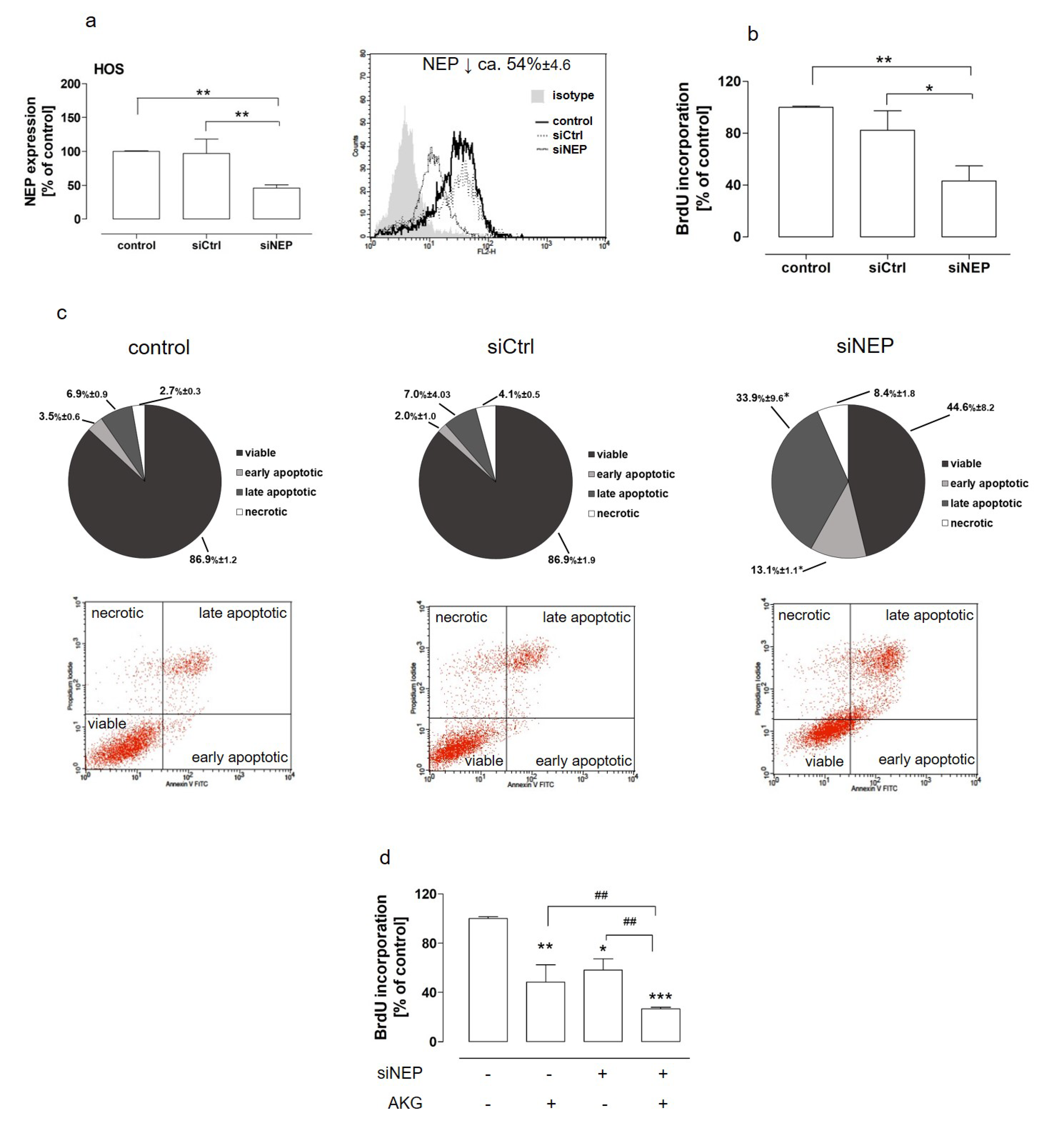 Molecules 28 00097 g005