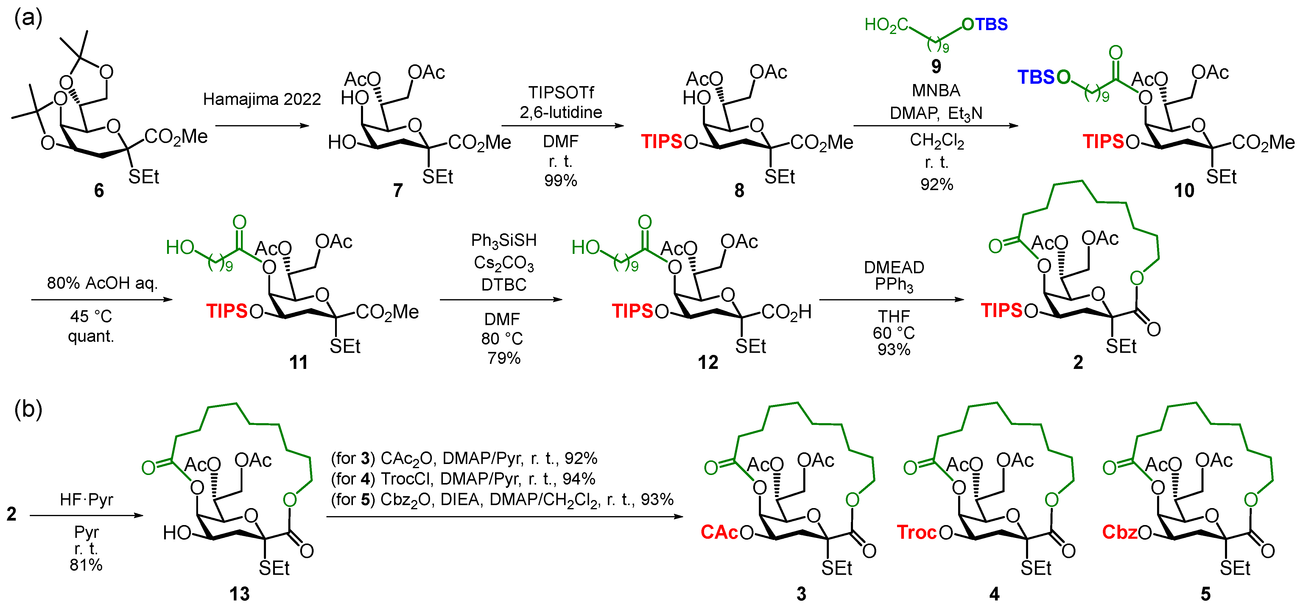 Molecules 28 00102 sch001