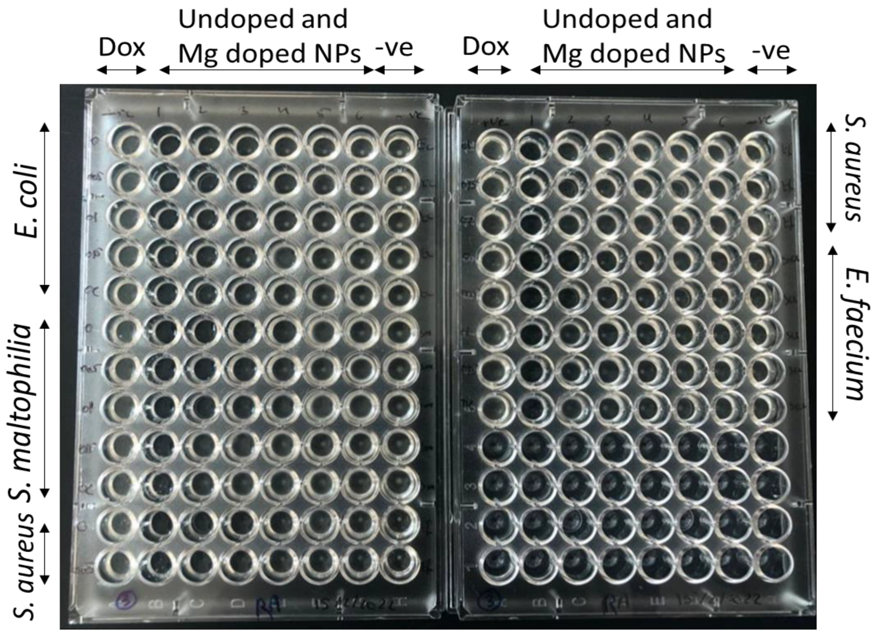Molecules 28 00103 g0a2