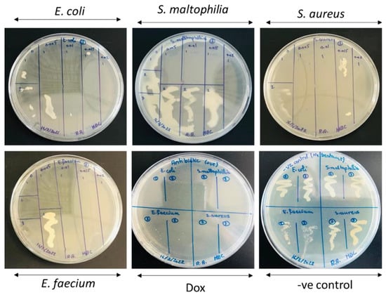 Molecules 28 00103 g0a3