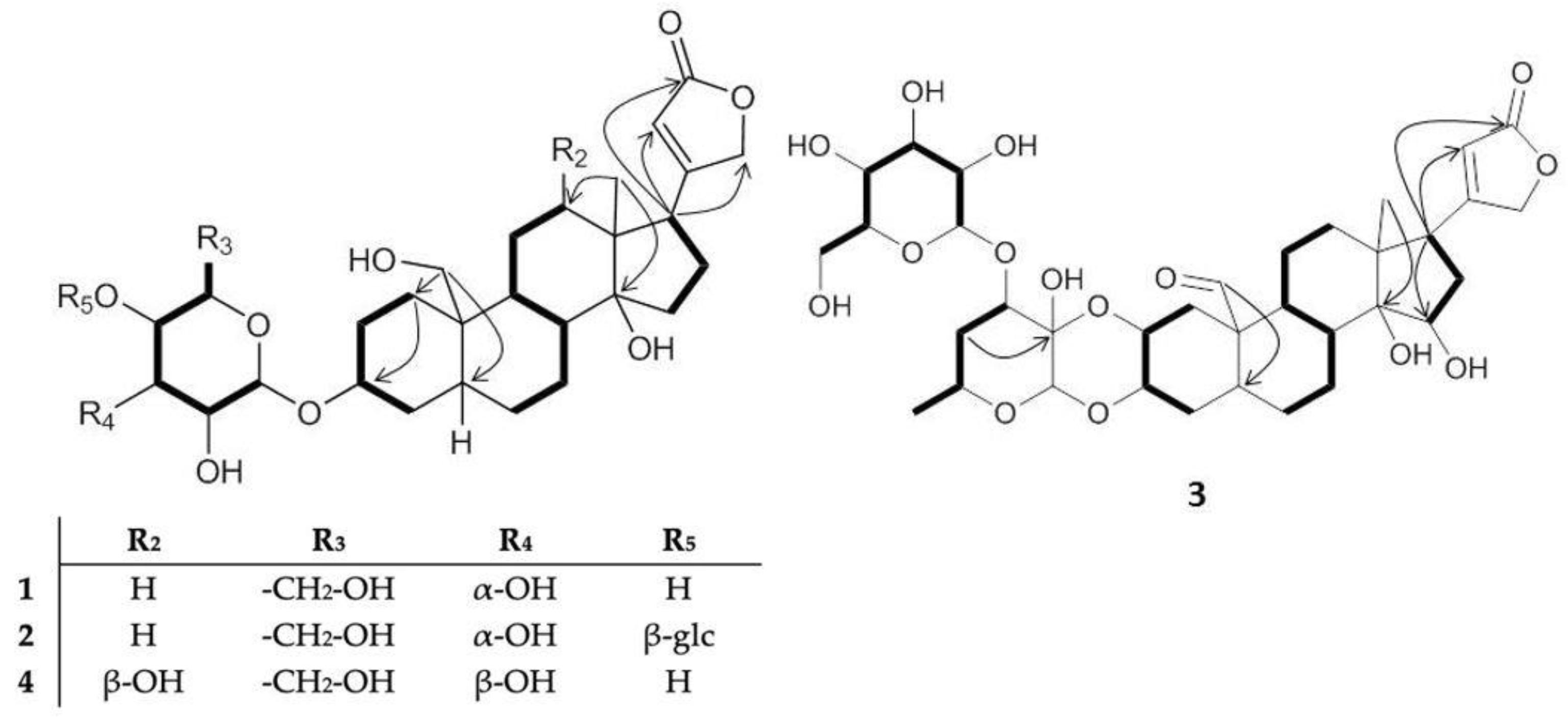 Molecules 28 00105 g002