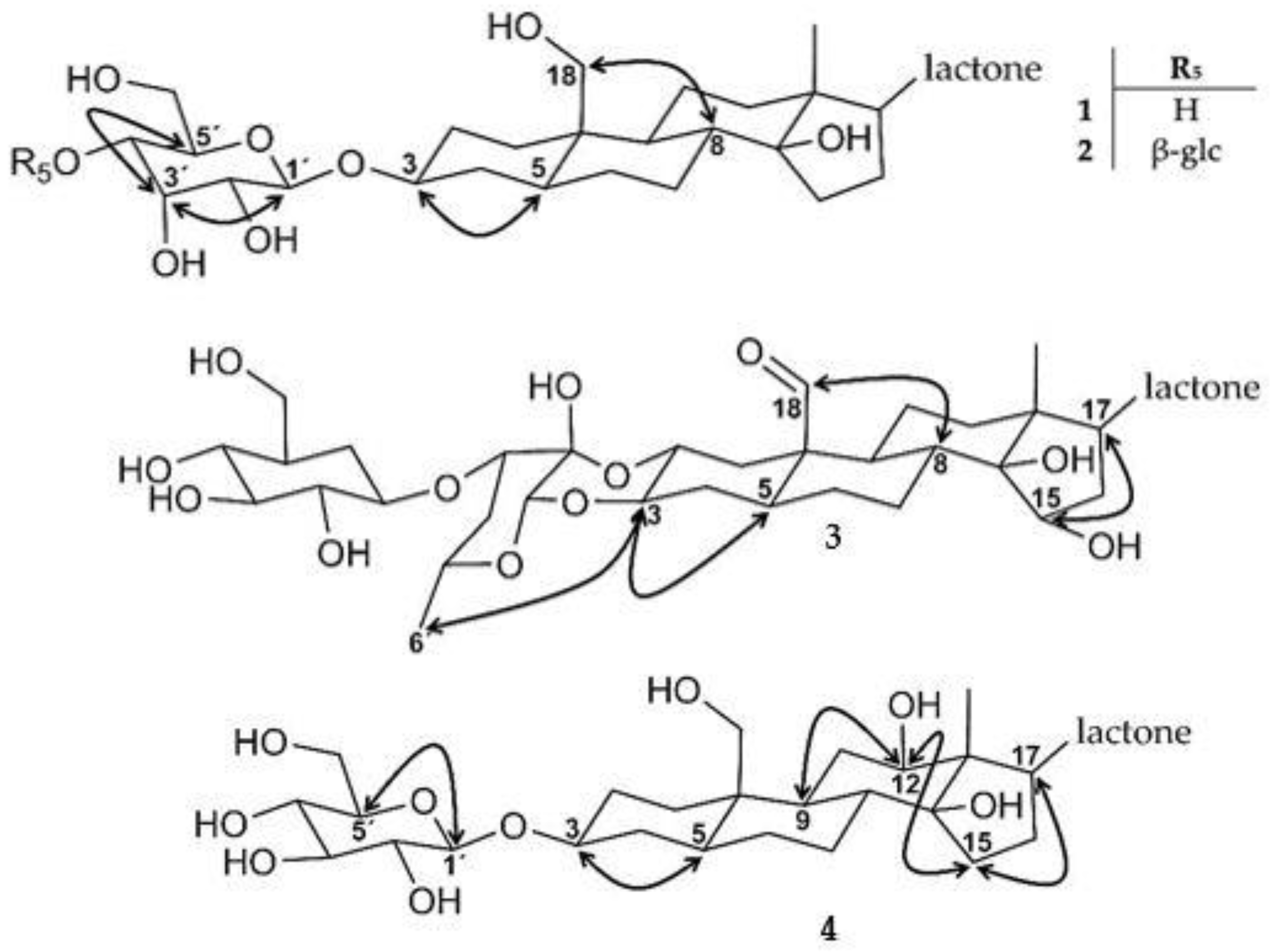 Molecules 28 00105 g003