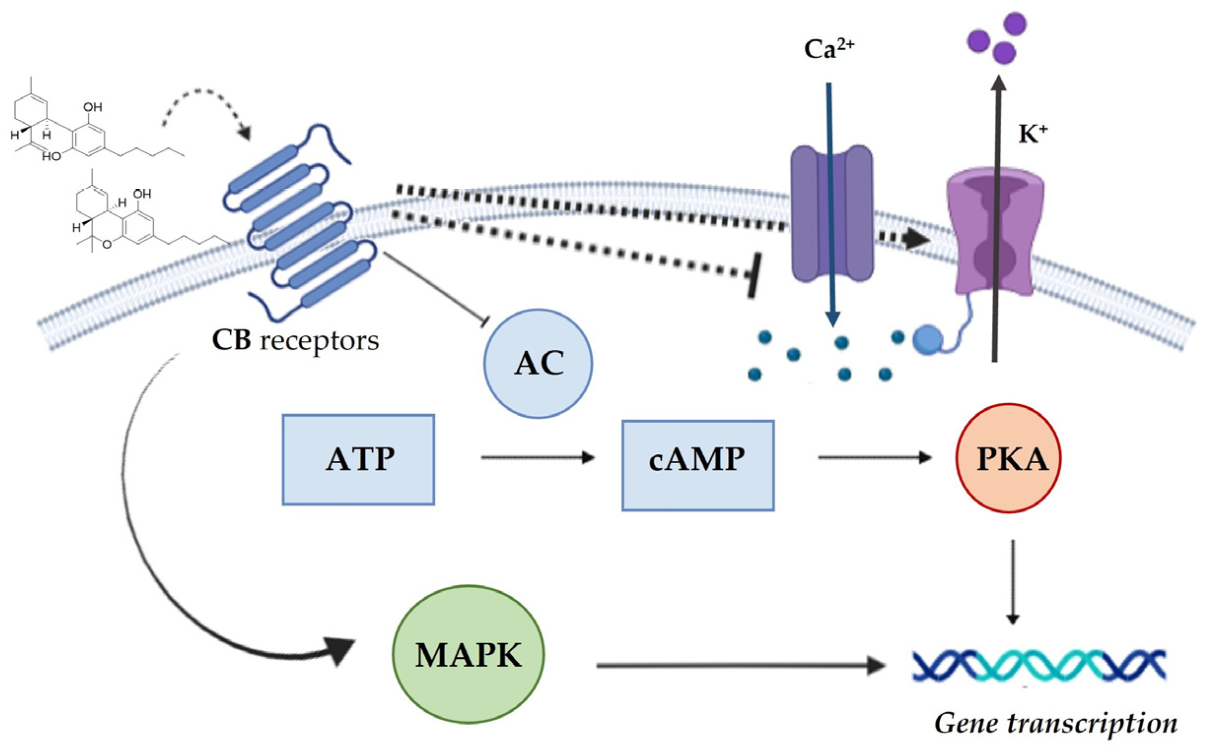 Molecules 28 00106 g004