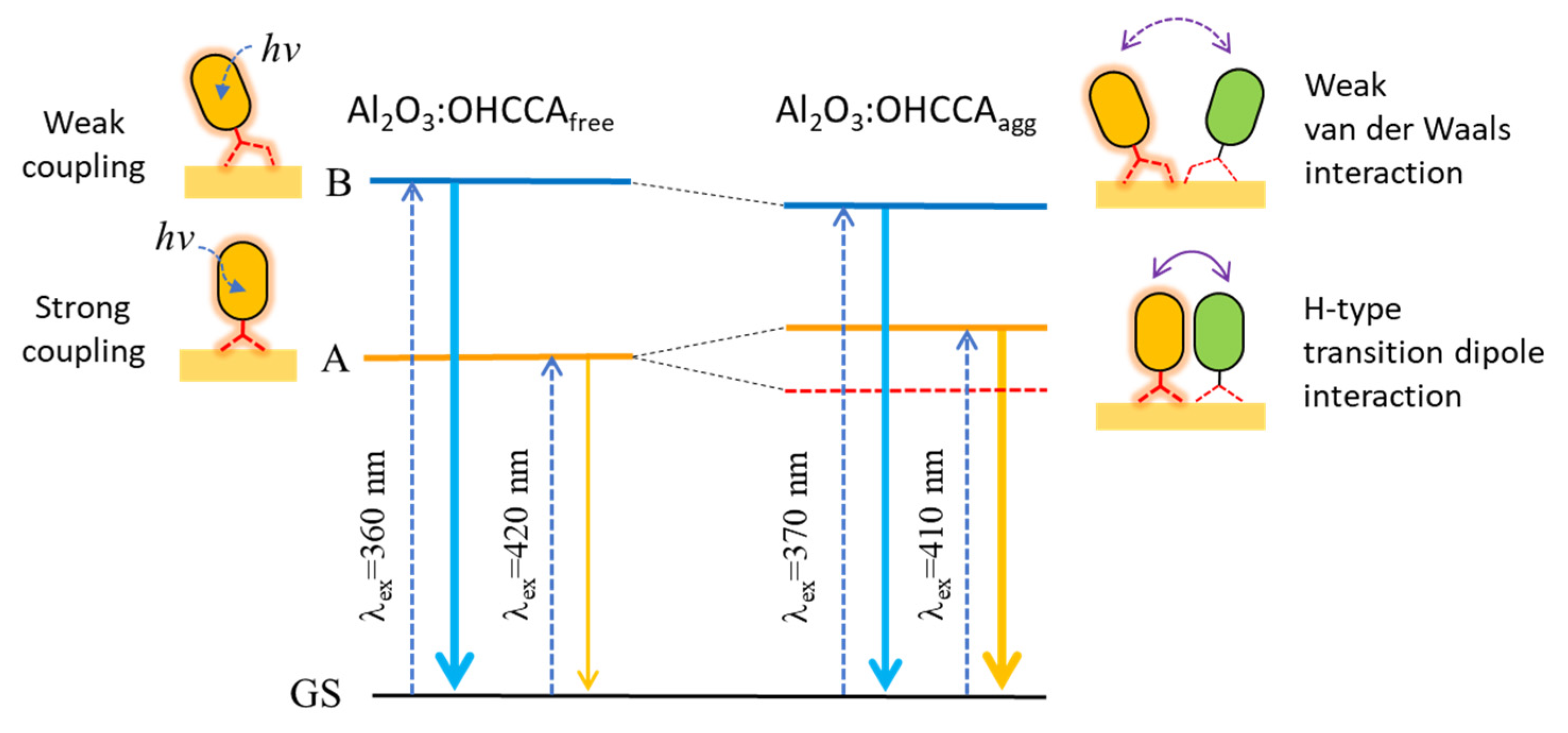 Molecules 28 00111 g003 Molecules 28 00111 g003