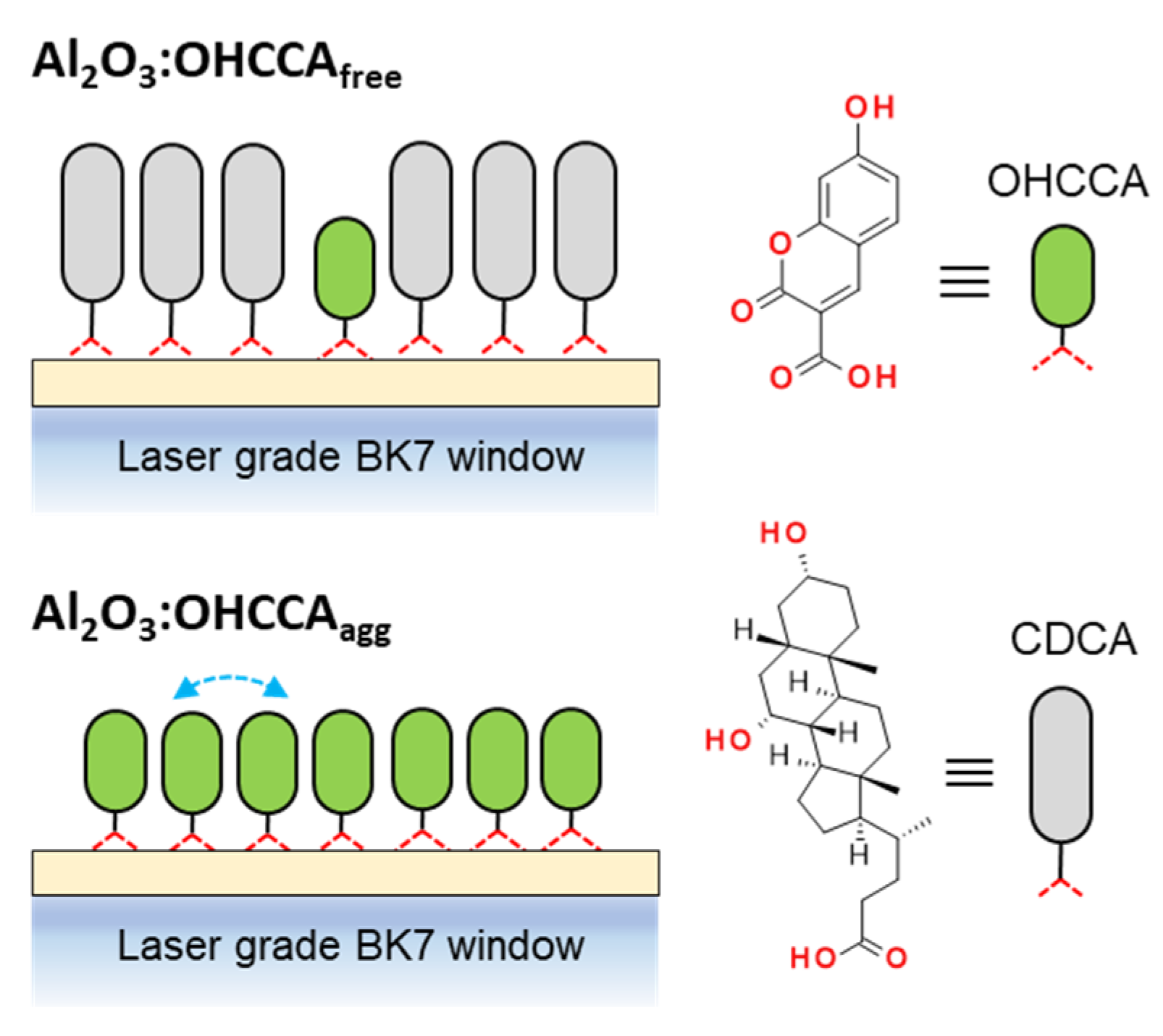 Molecules 28 00111 sch001 Molecules 28 00111 sch001