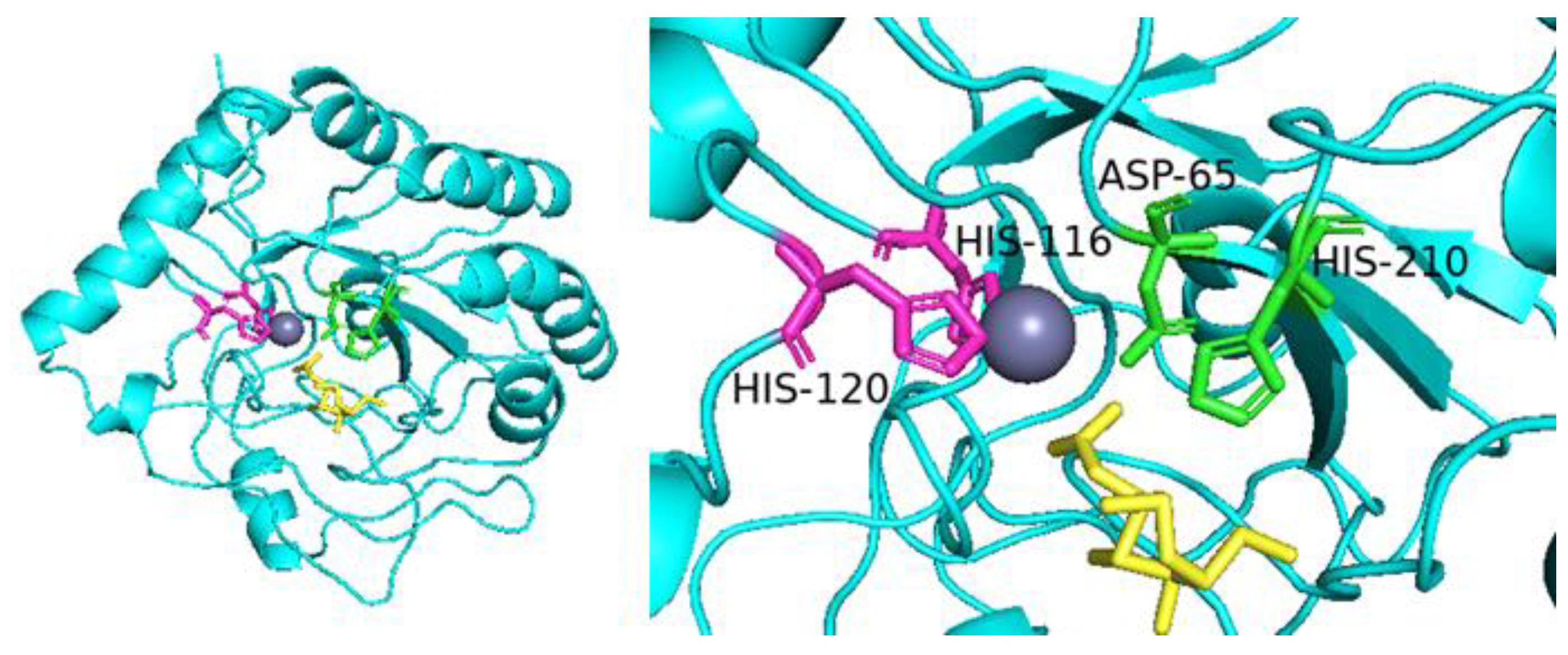 Molecules 28 00113 g006