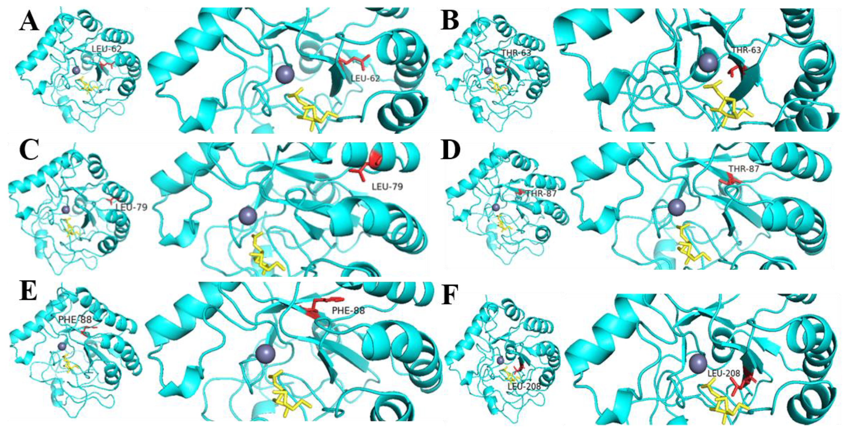 Molecules 28 00113 g007