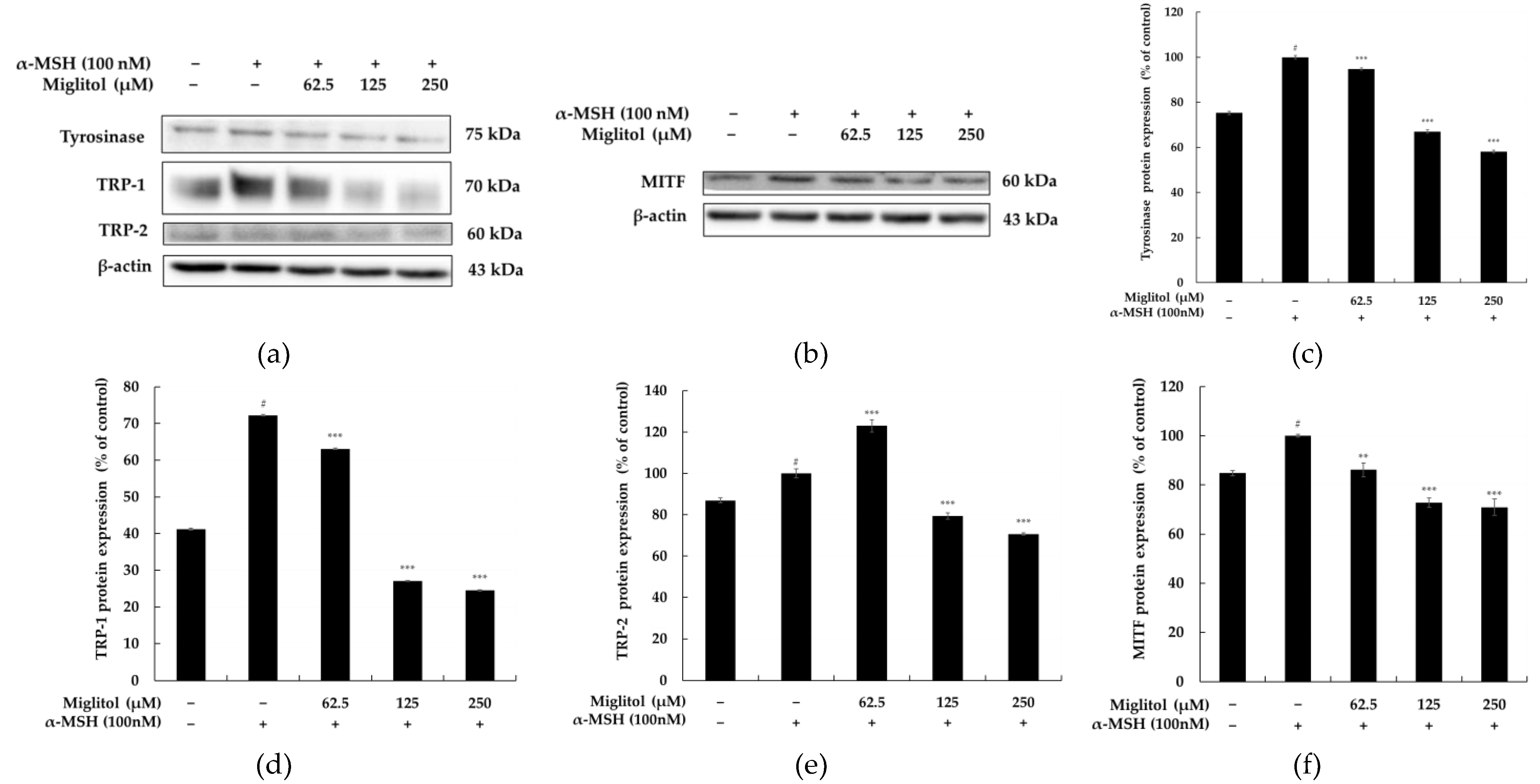 Molecules 28 00115 g004