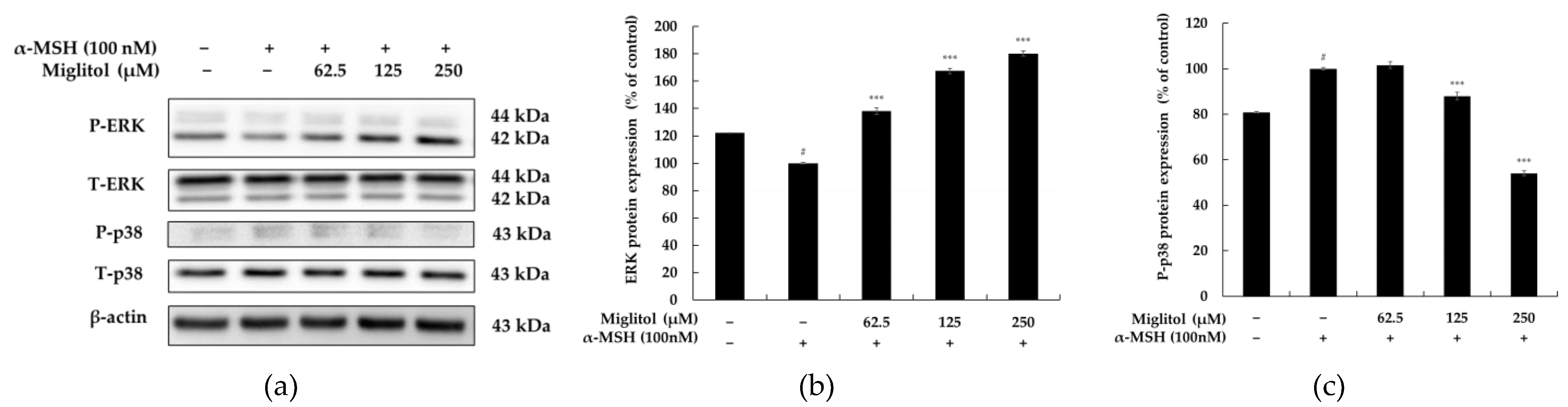 Molecules 28 00115 g006