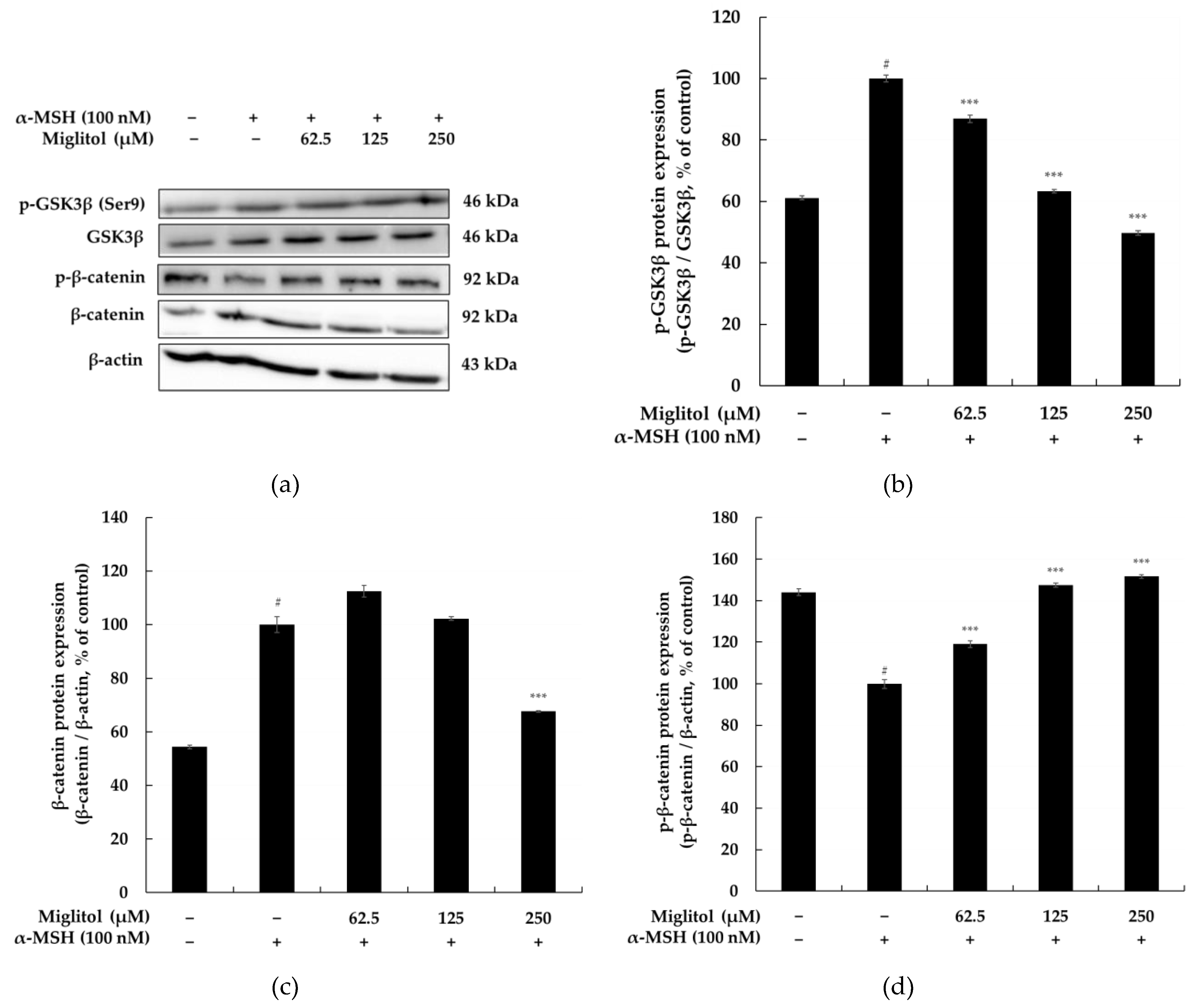 Molecules 28 00115 g007