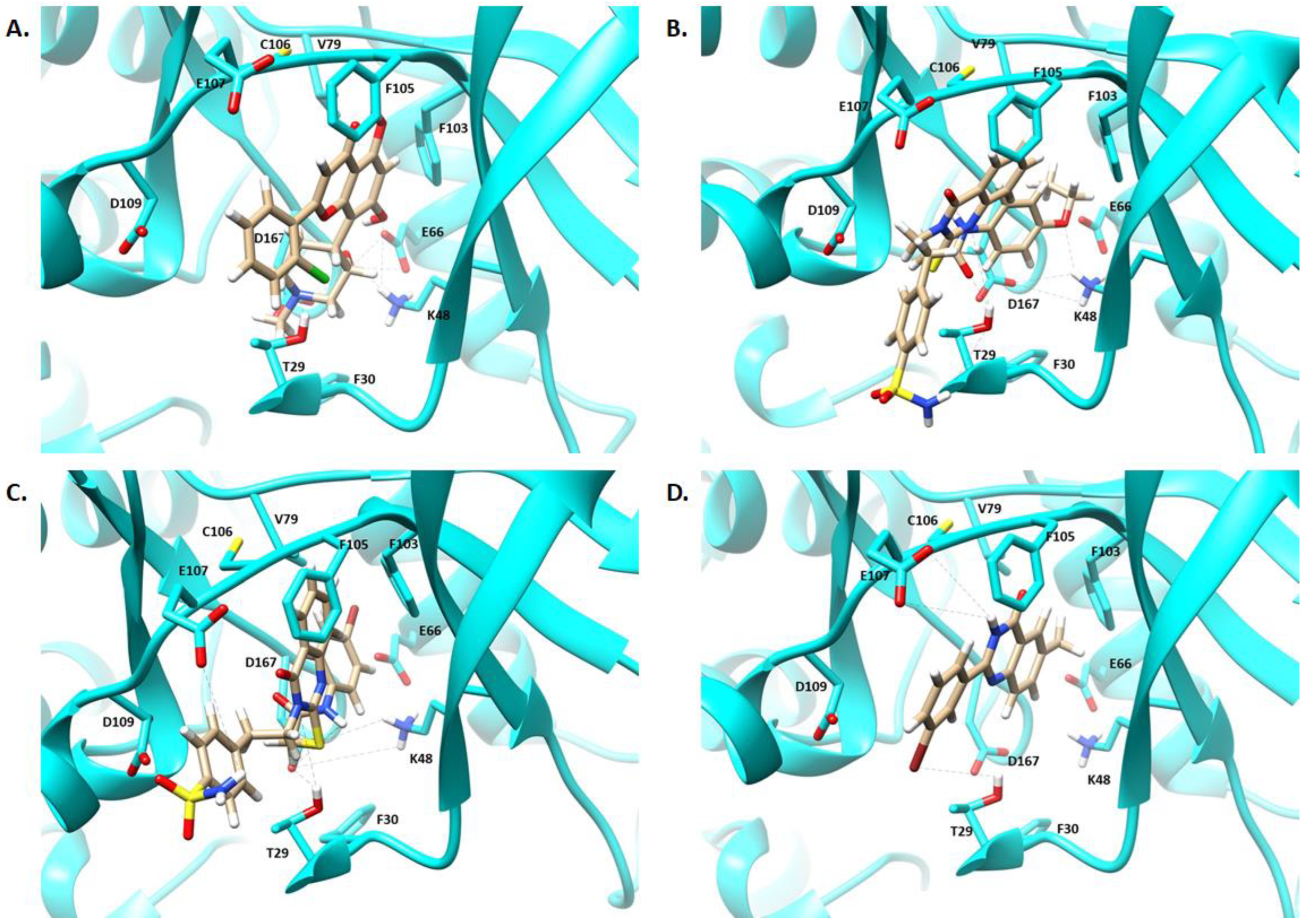 Molecules 28 00120 g004