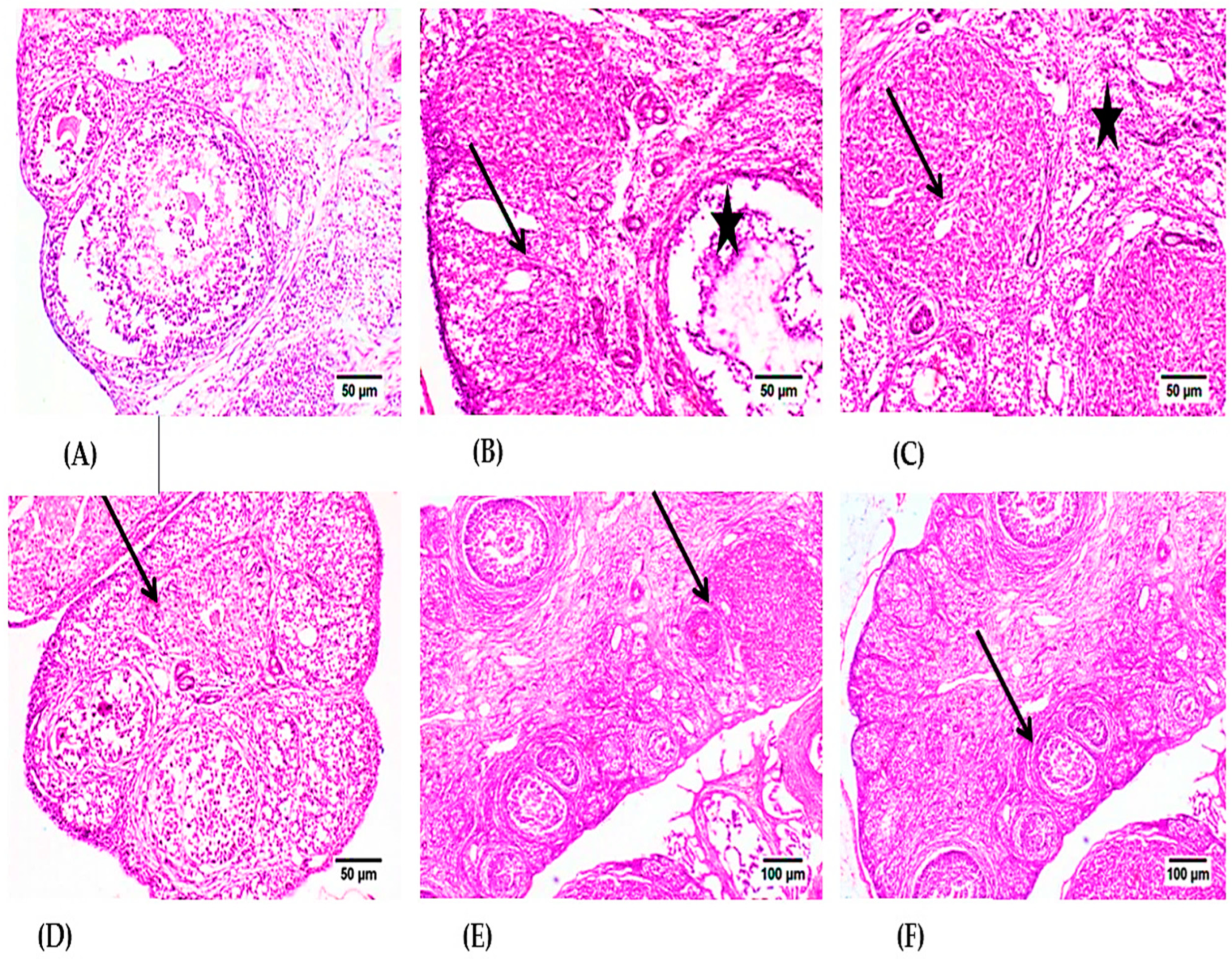 Molecules 28 00122 g004 Molecules 28 00122 g004