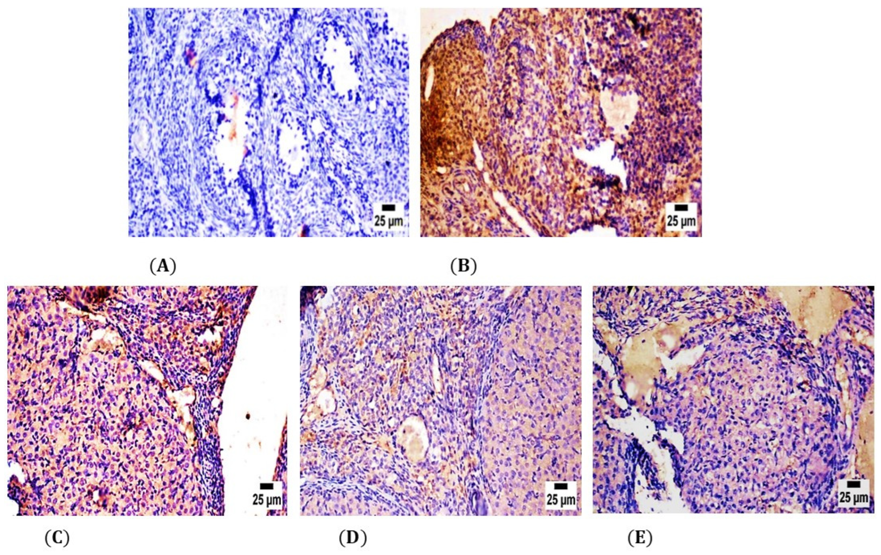 Molecules 28 00122 g005 Molecules 28 00122 g005