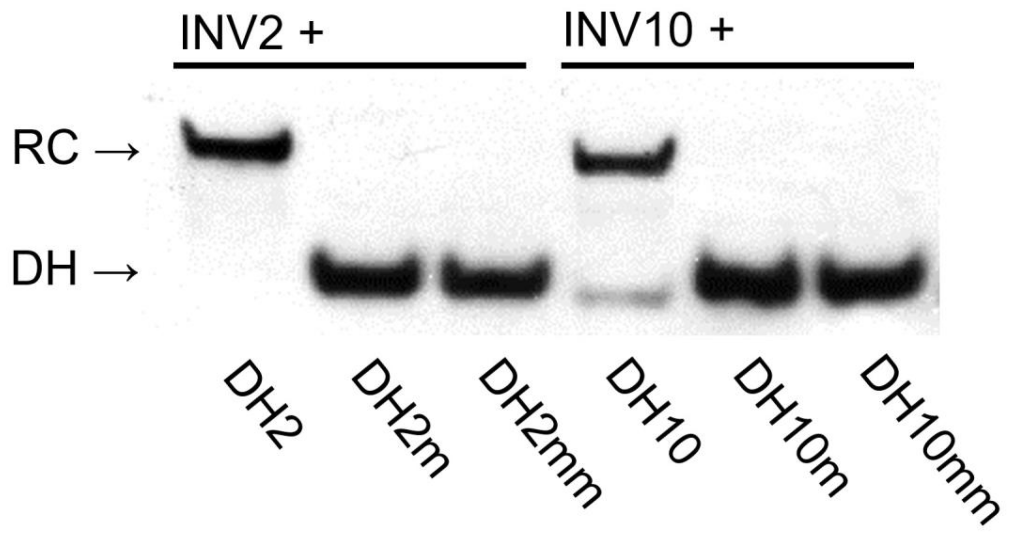 Molecules 28 00127 g005