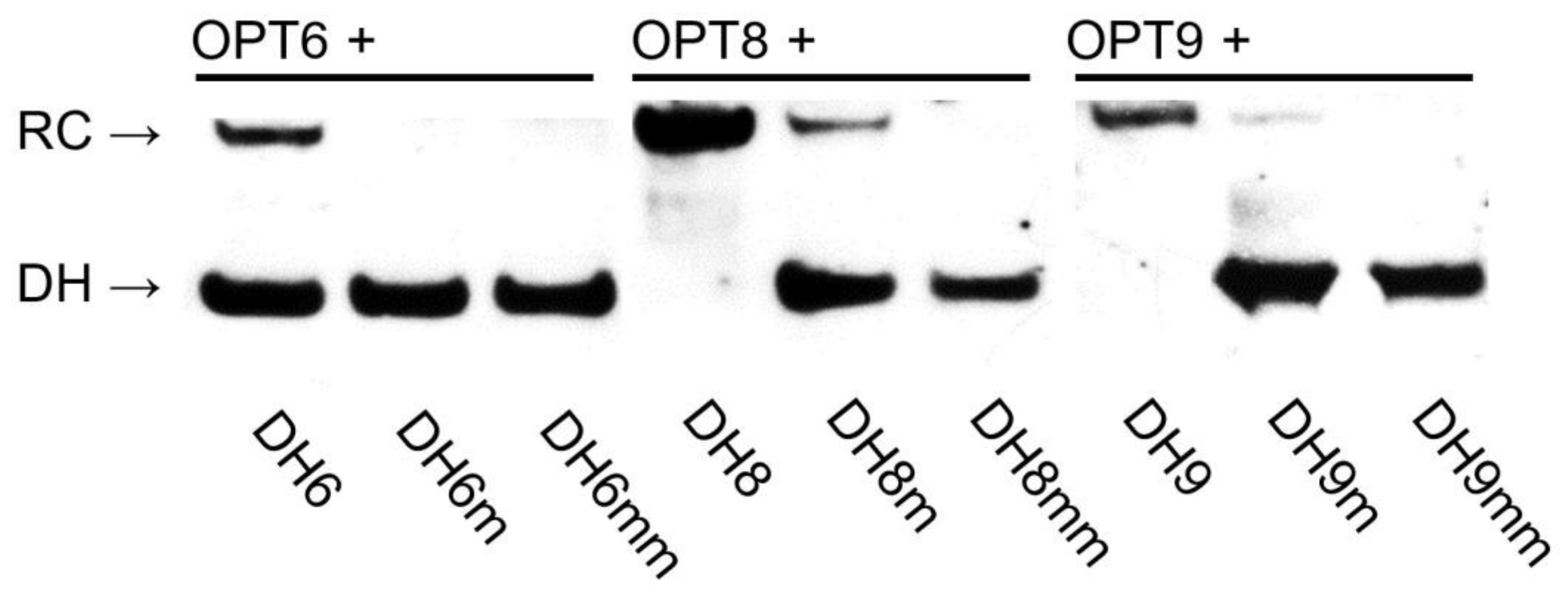 Molecules 28 00127 g008