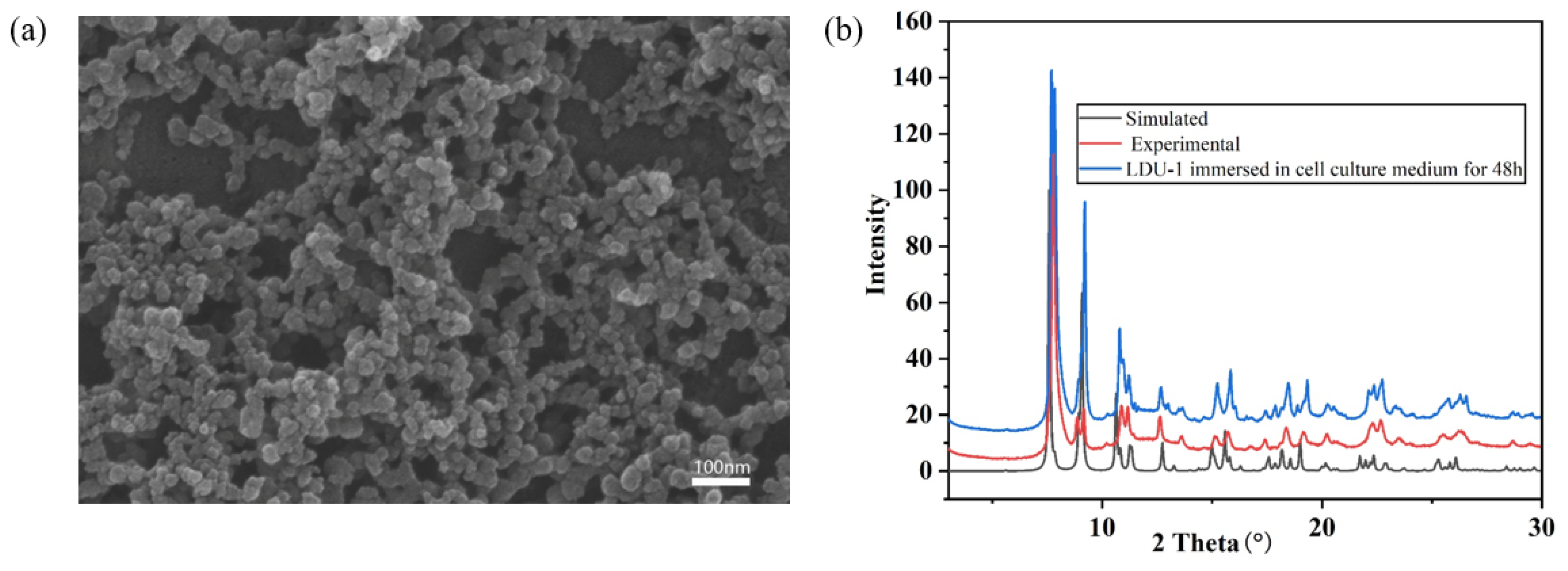 Molecules 28 00129 g003
