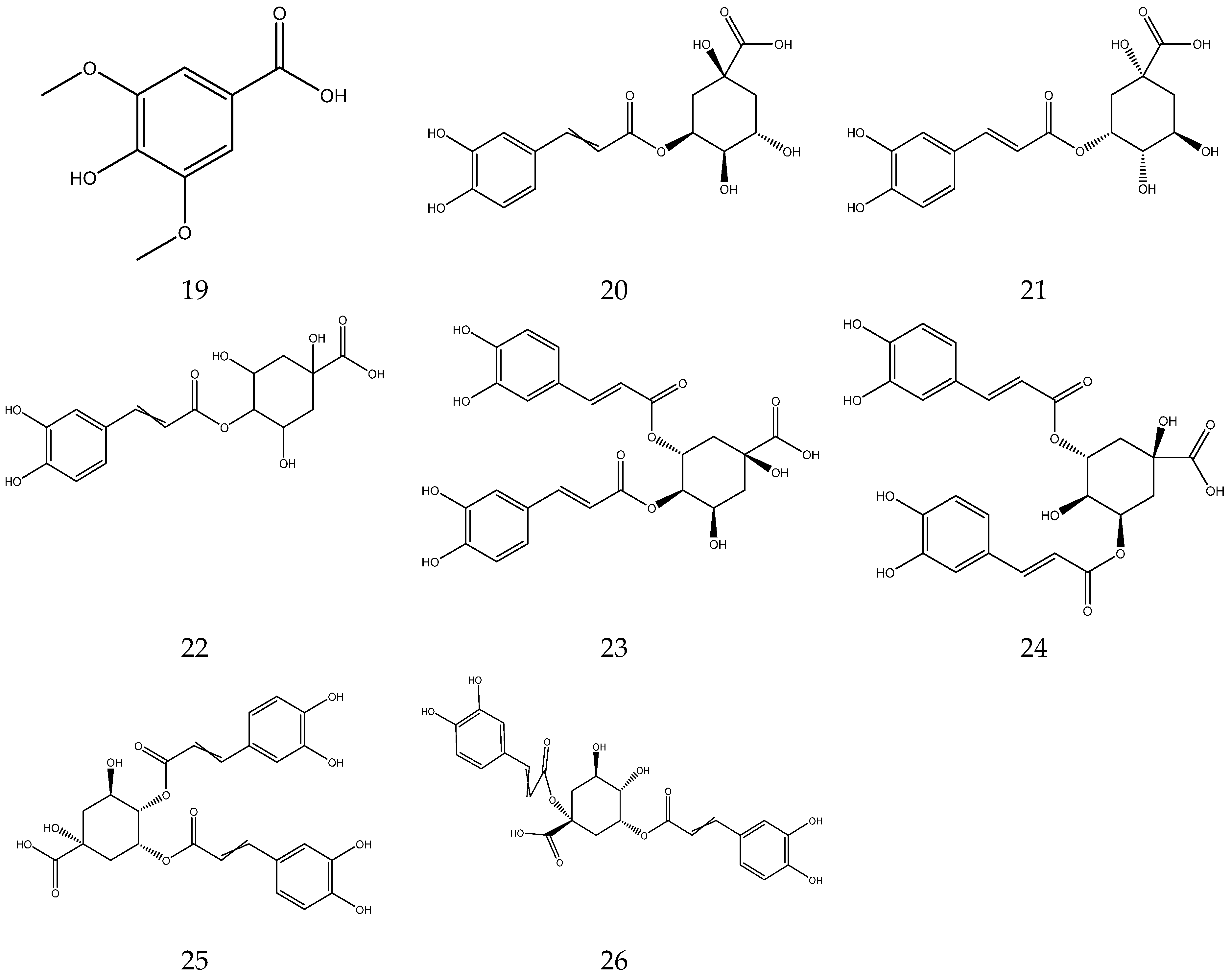 Molecules 28 00133 g002b