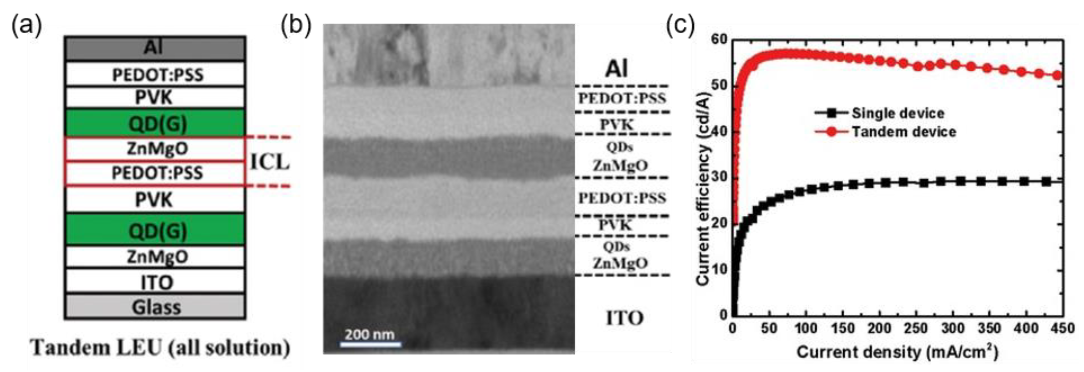 Molecules 28 00134 g011