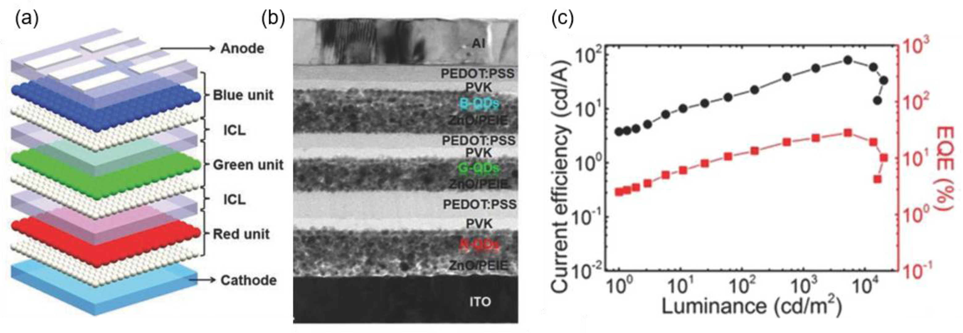 Molecules 28 00134 g013