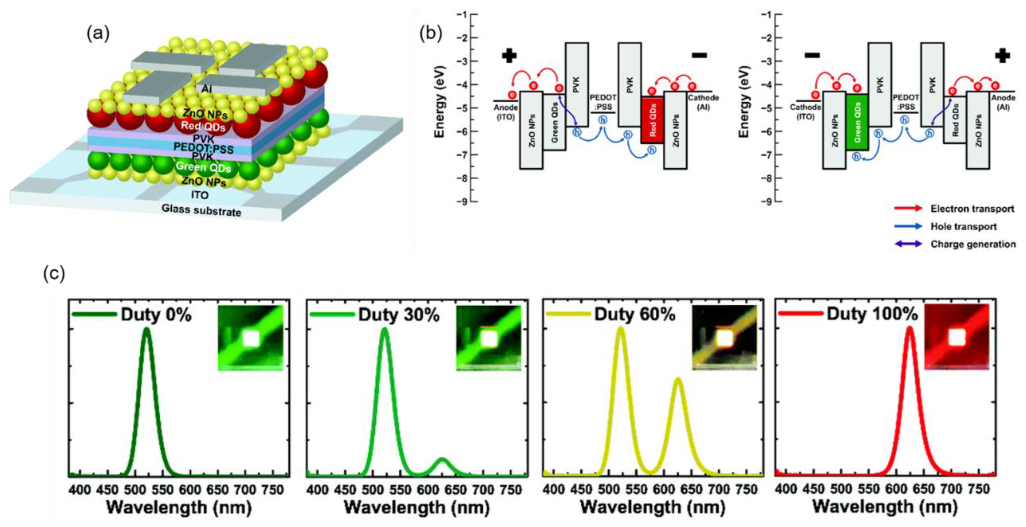 Molecules 28 00134 g014