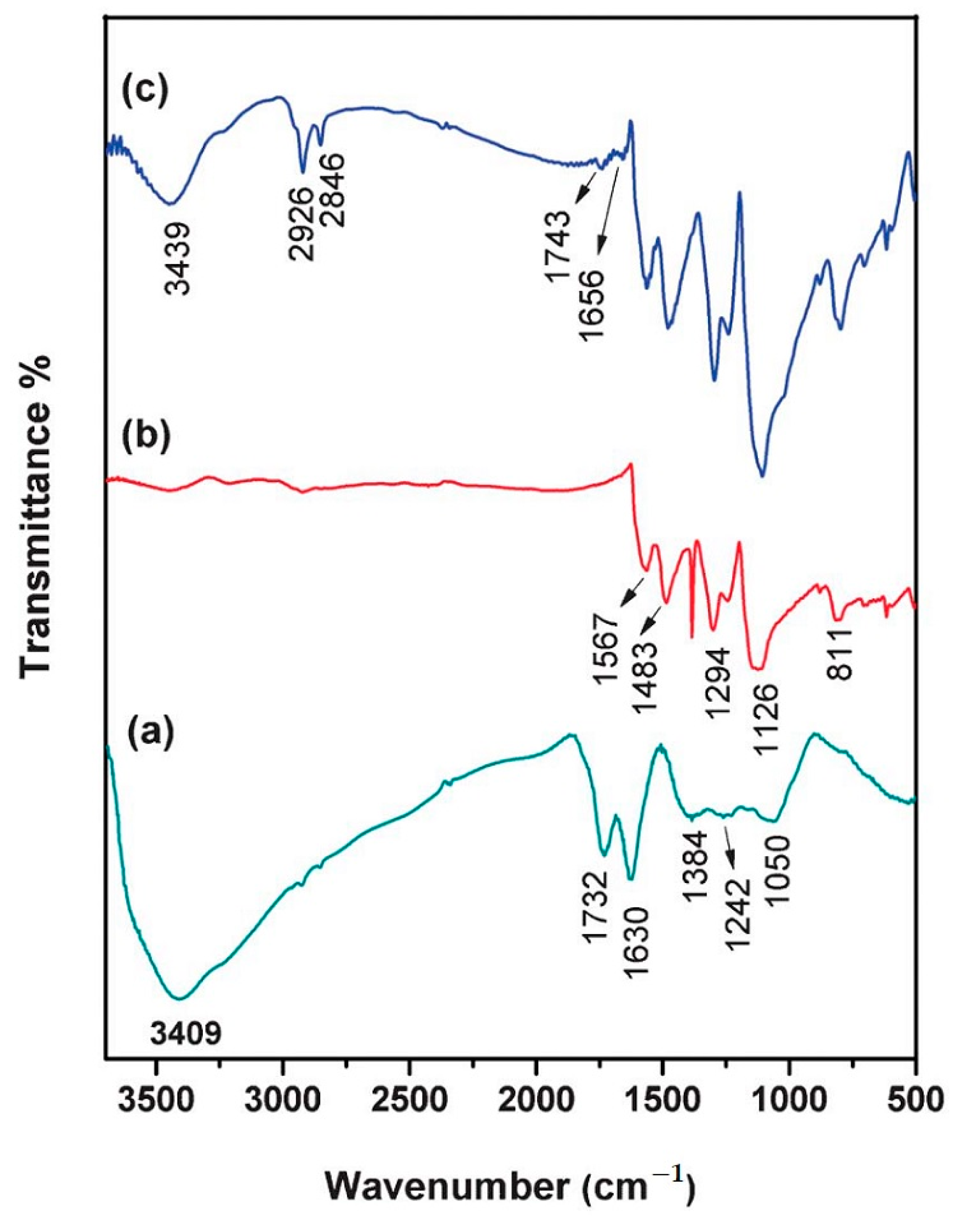 Molecules 28 00135 g005