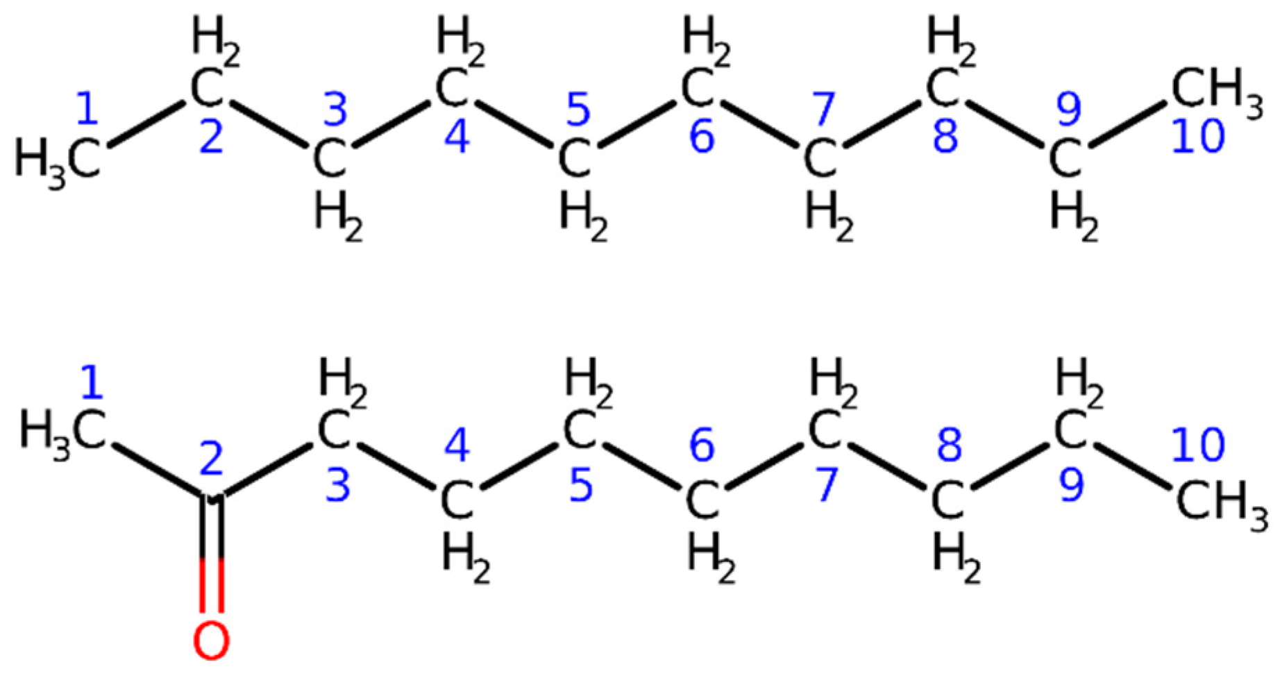 Molecules 28 00136 g001