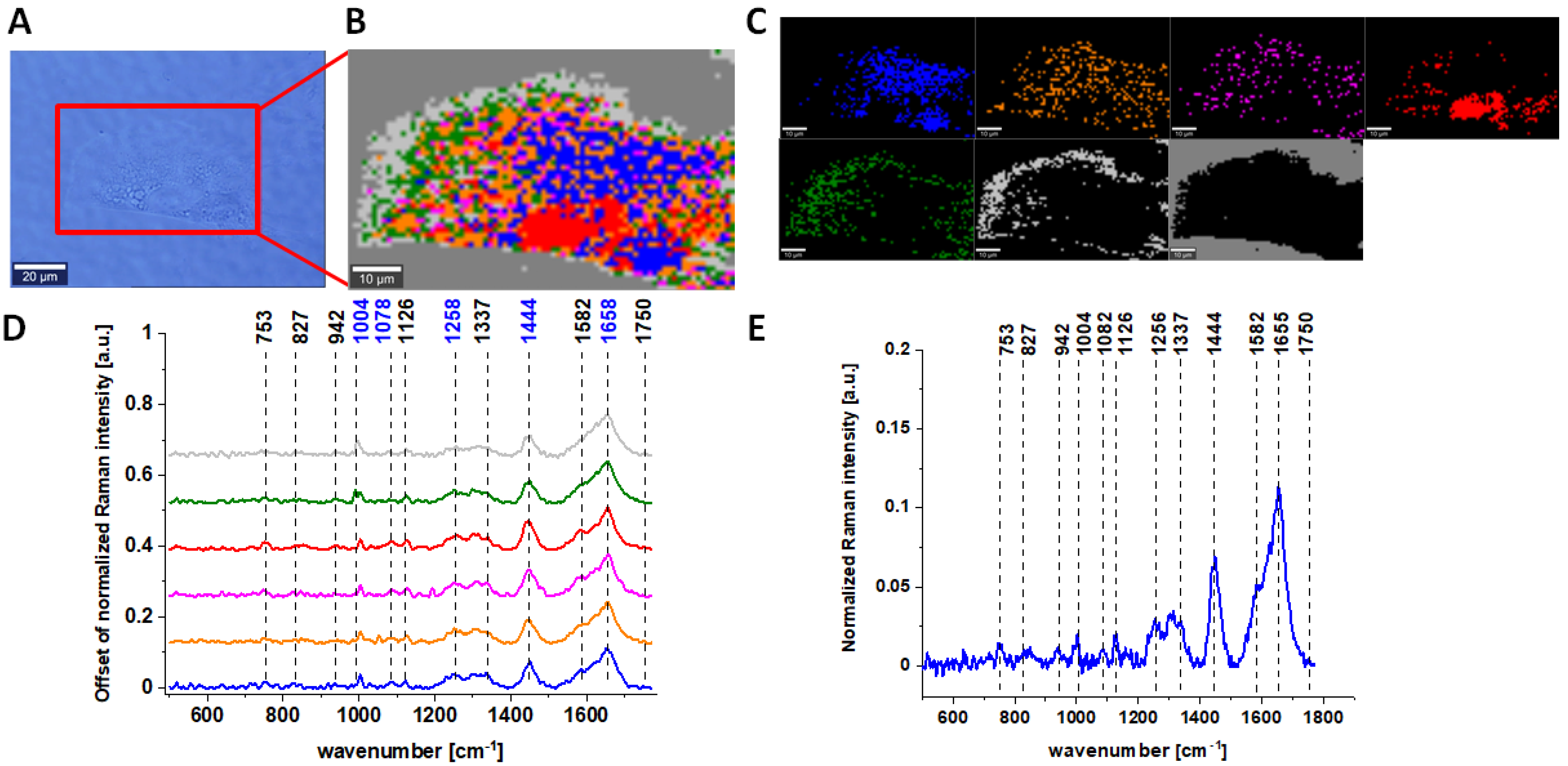 Molecules 28 00137 g001