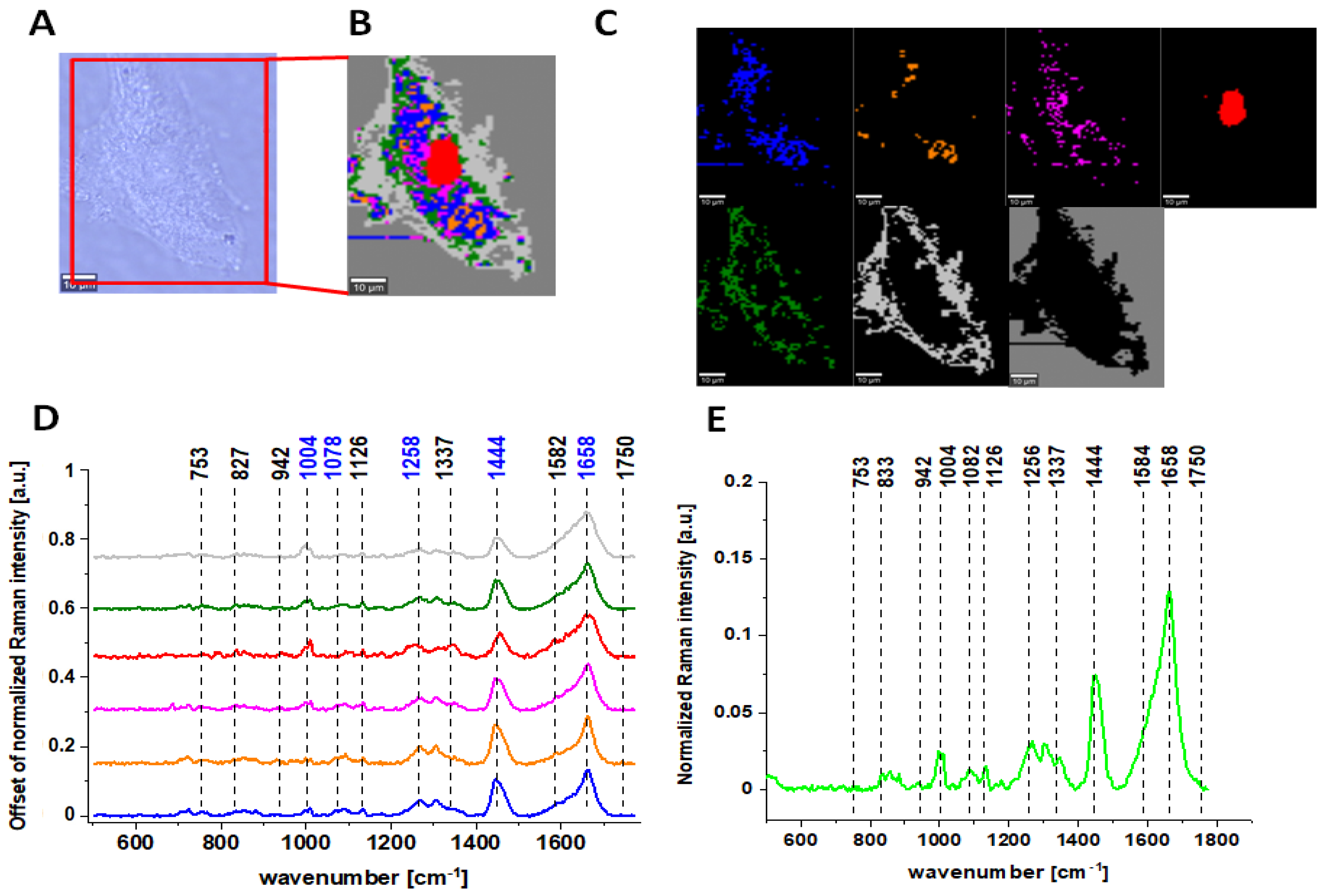 Molecules 28 00137 g004