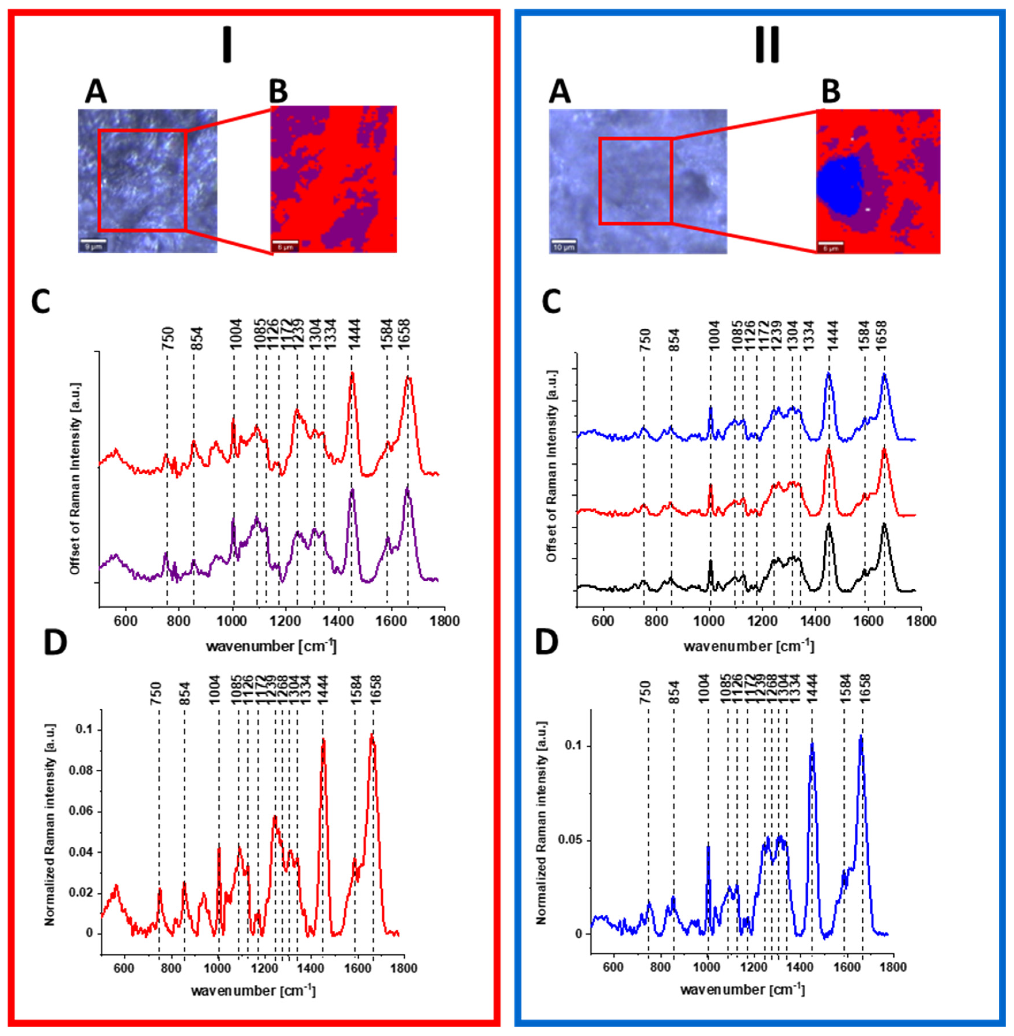 Molecules 28 00137 g009