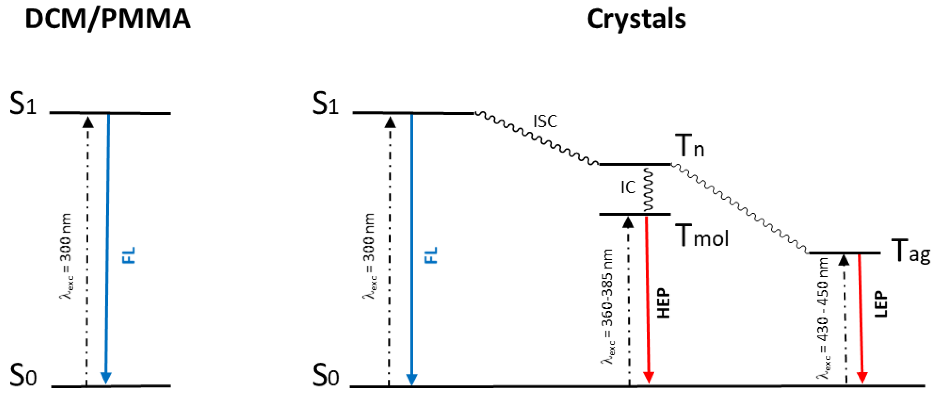 Molecules 28 00140 g010