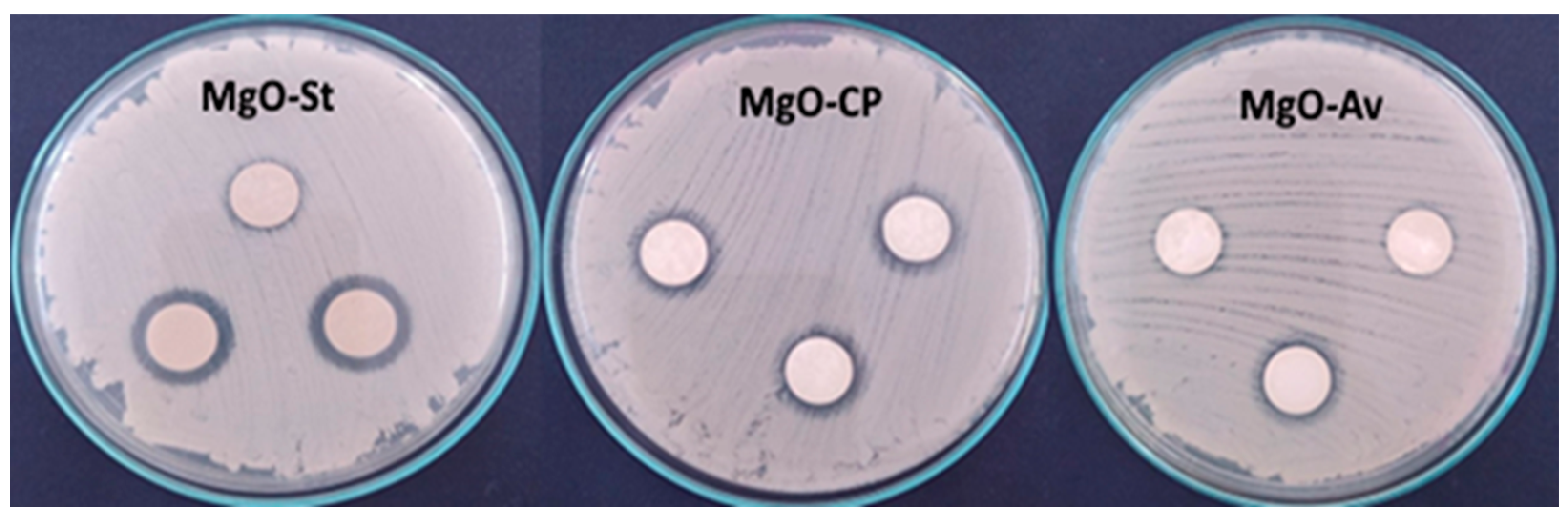 Molecules 28 00142 g004