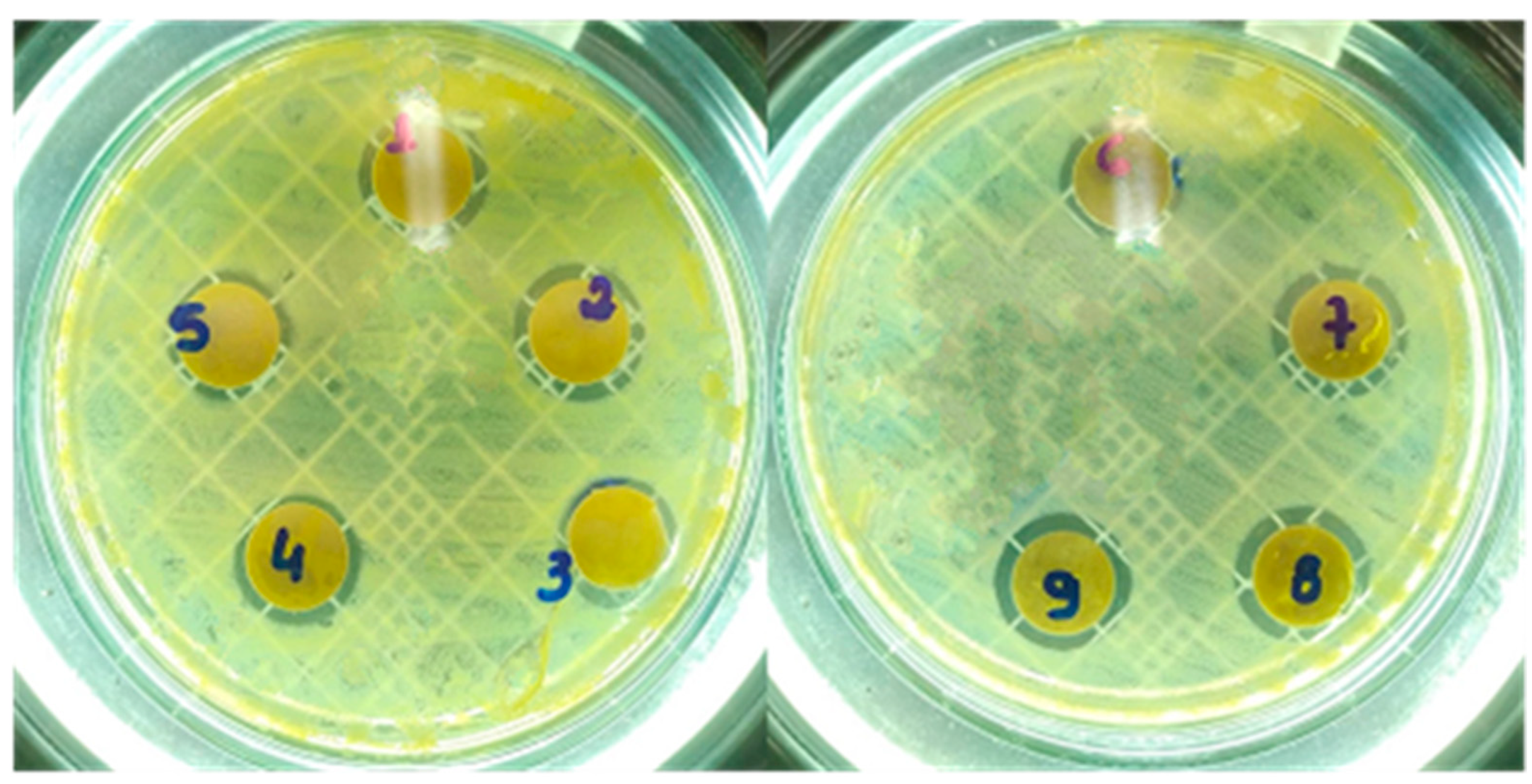 Molecules 28 00142 g005