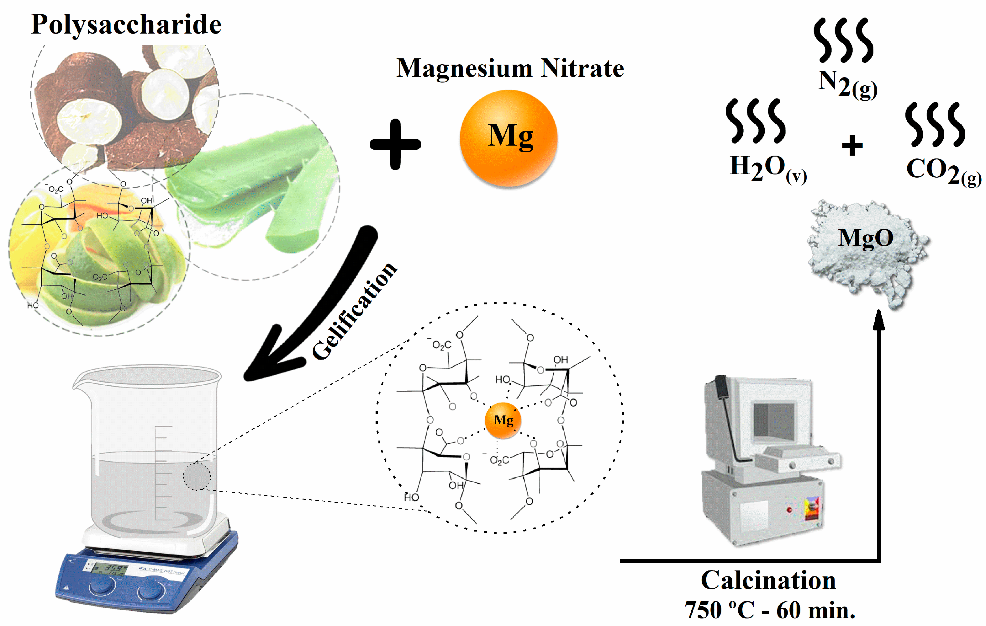 Molecules 28 00142 g006