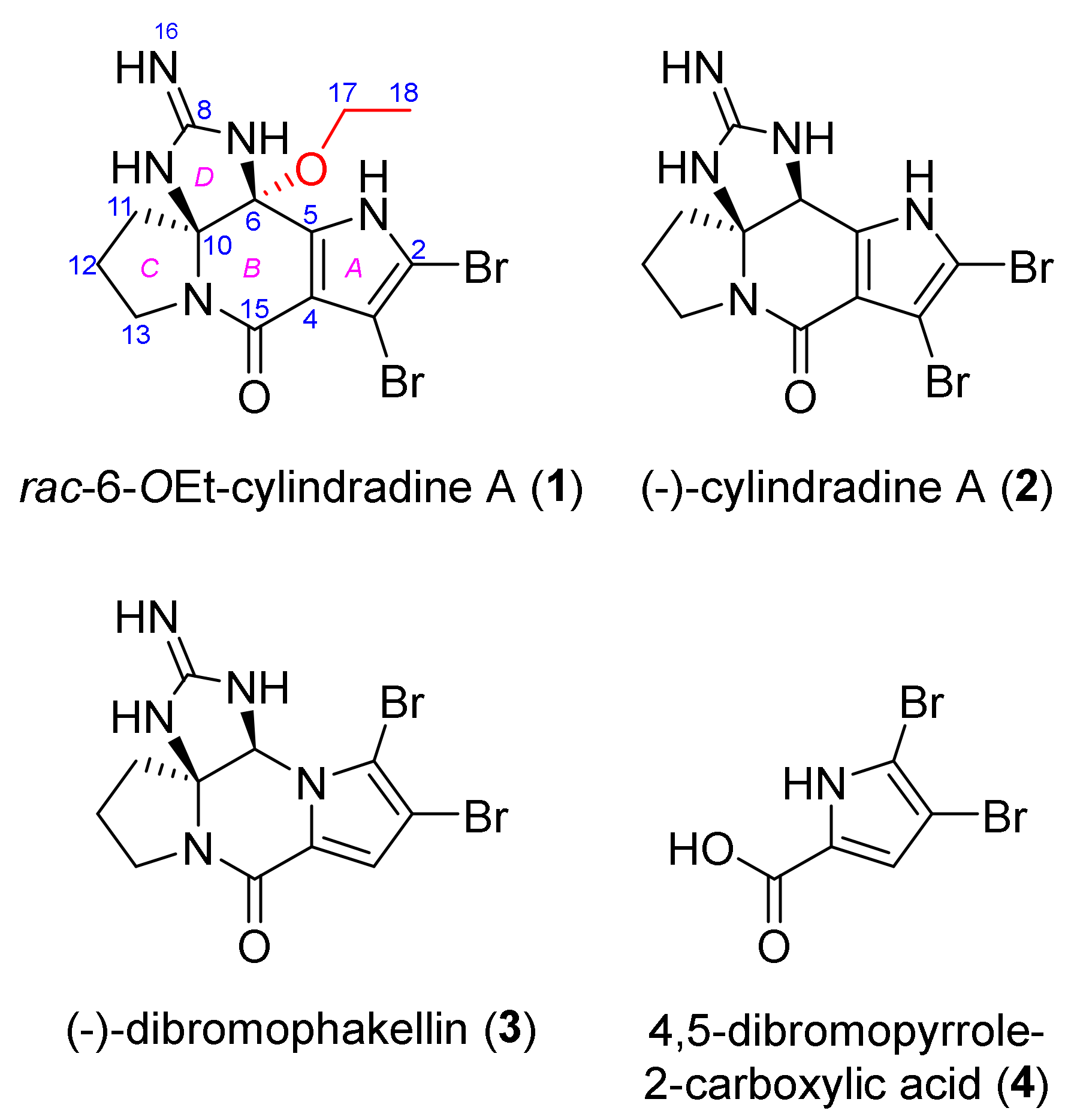 Molecules 28 00143 g001