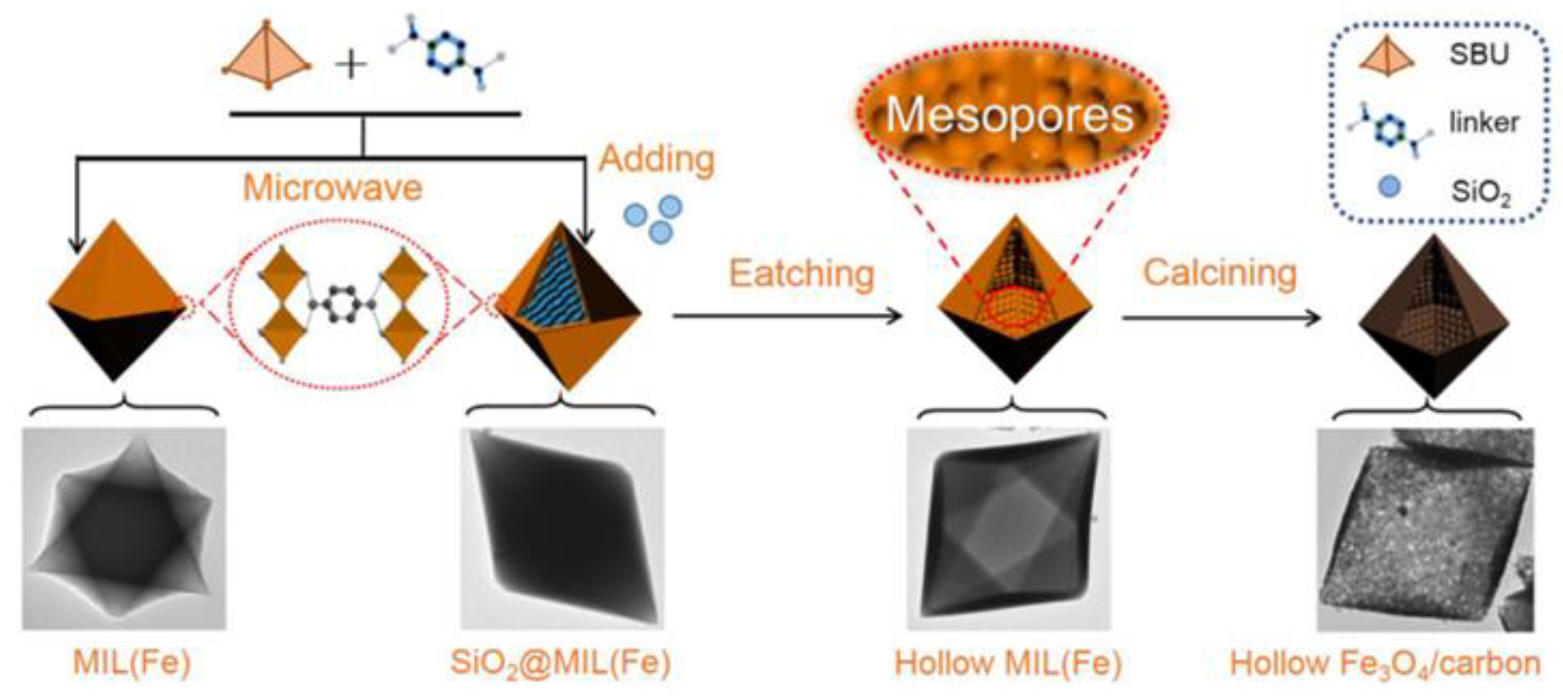 Molecules 28 00144 g001