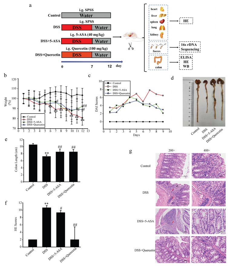 Molecules 28 00146 g001