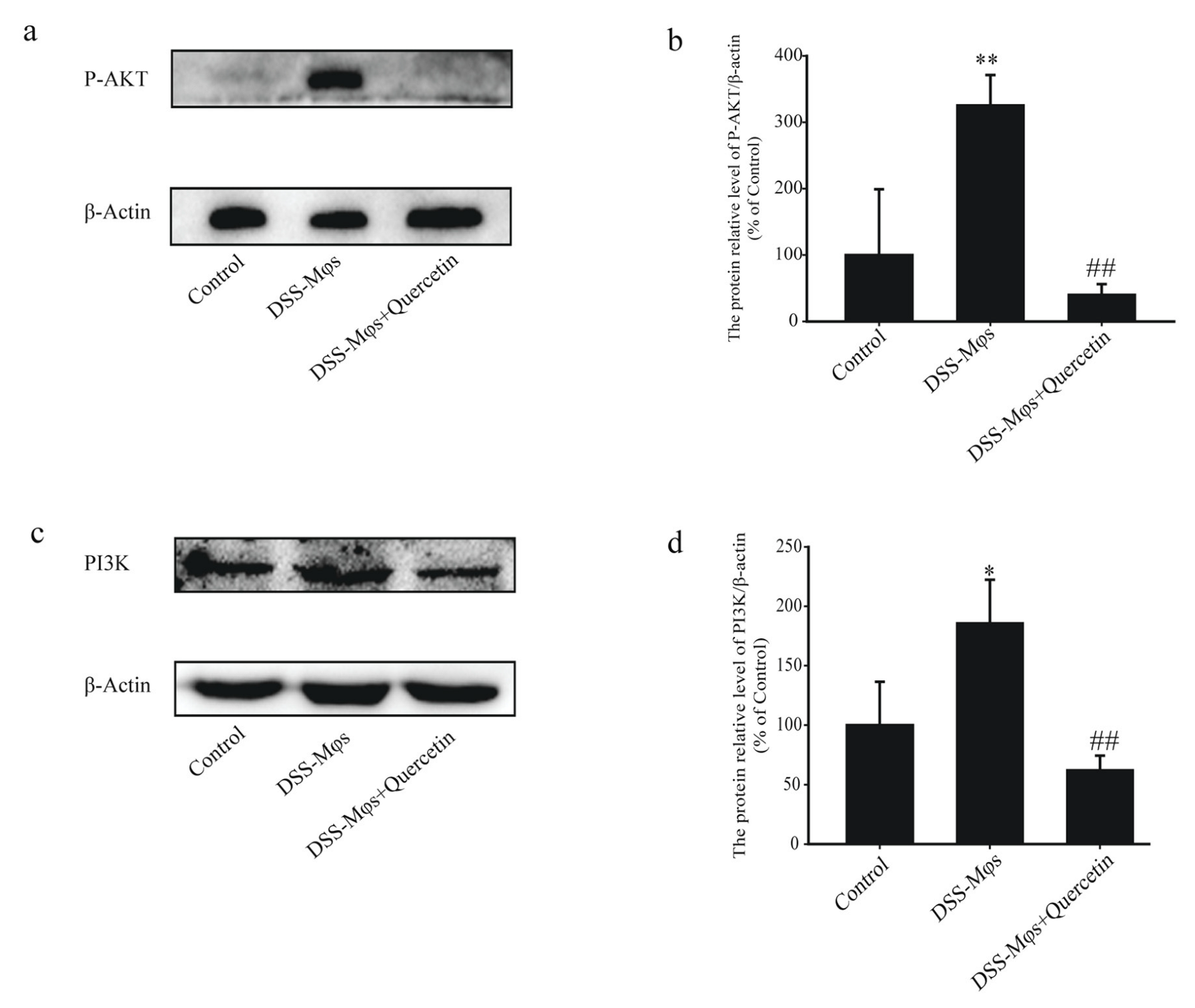 Molecules 28 00146 g008