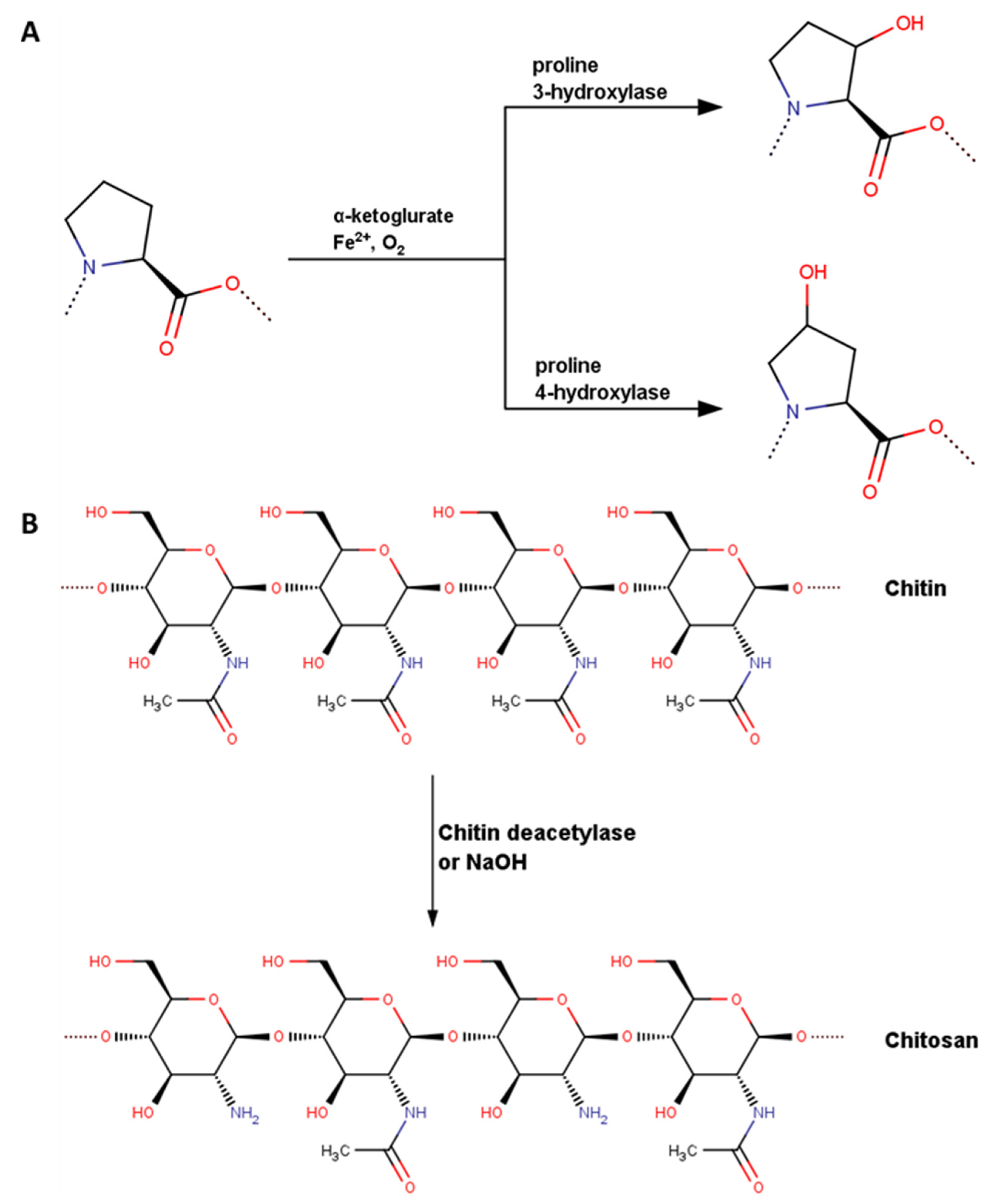 Molecules 28 00154 g001