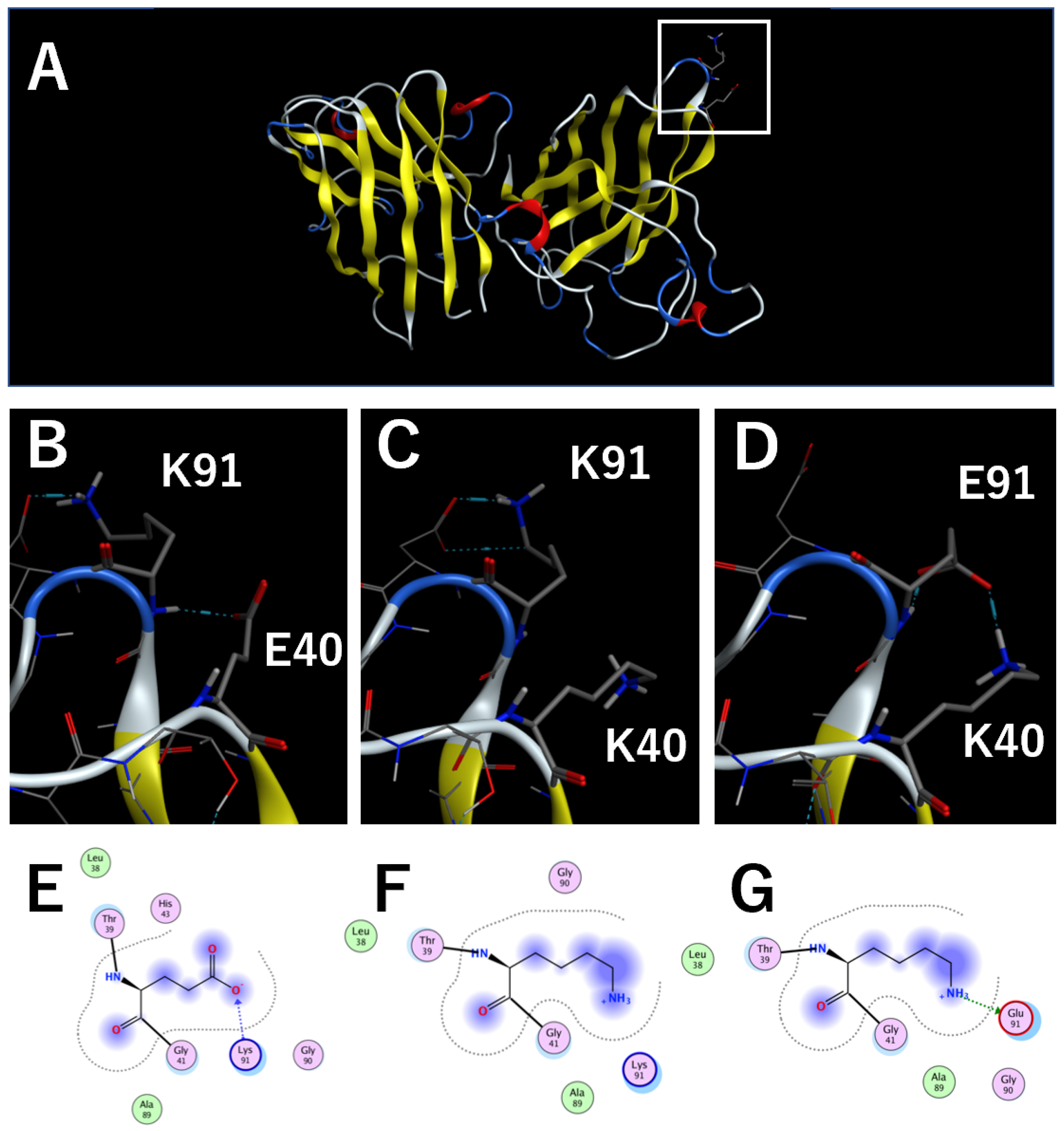 Molecules 28 00156 g001