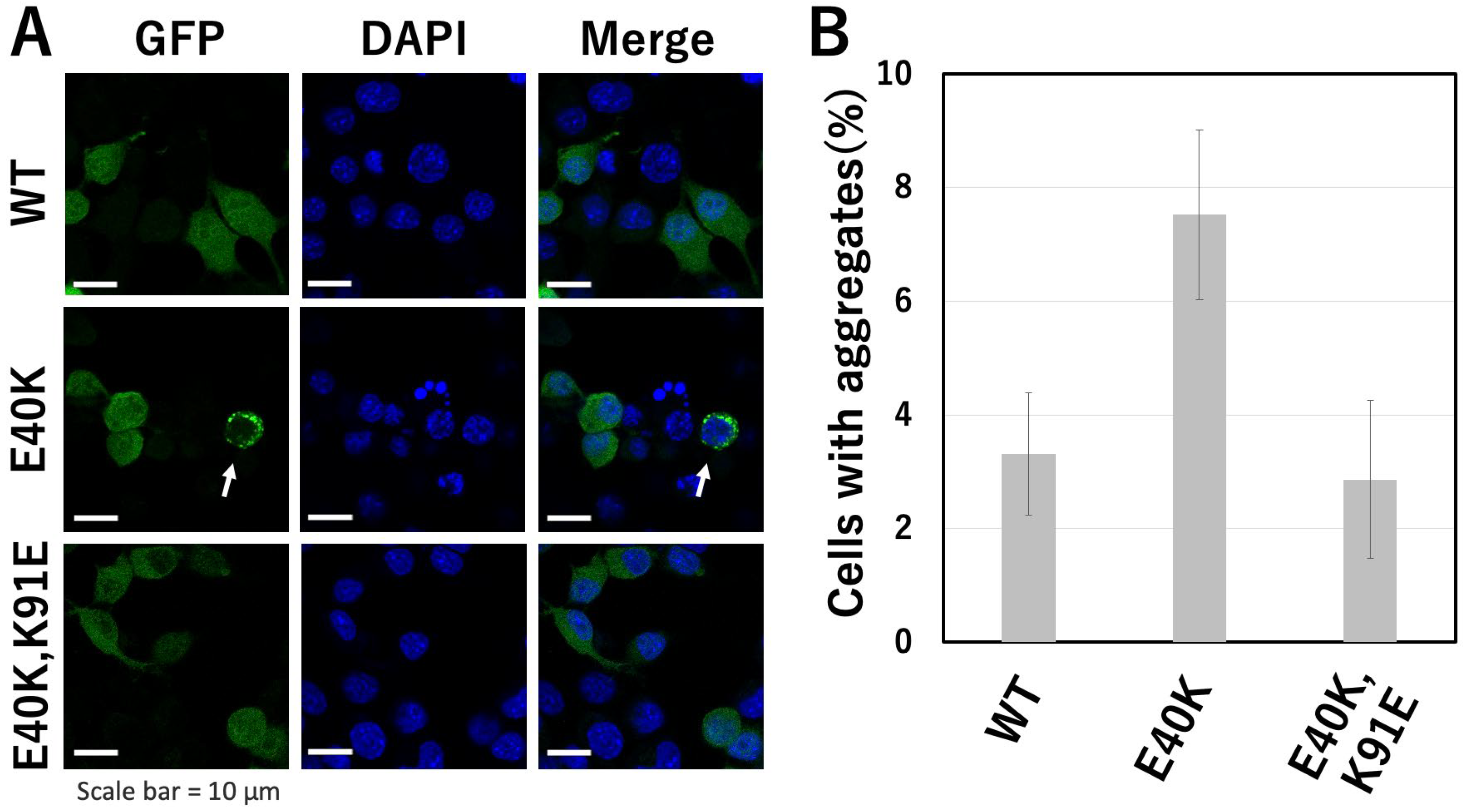 Molecules 28 00156 g004