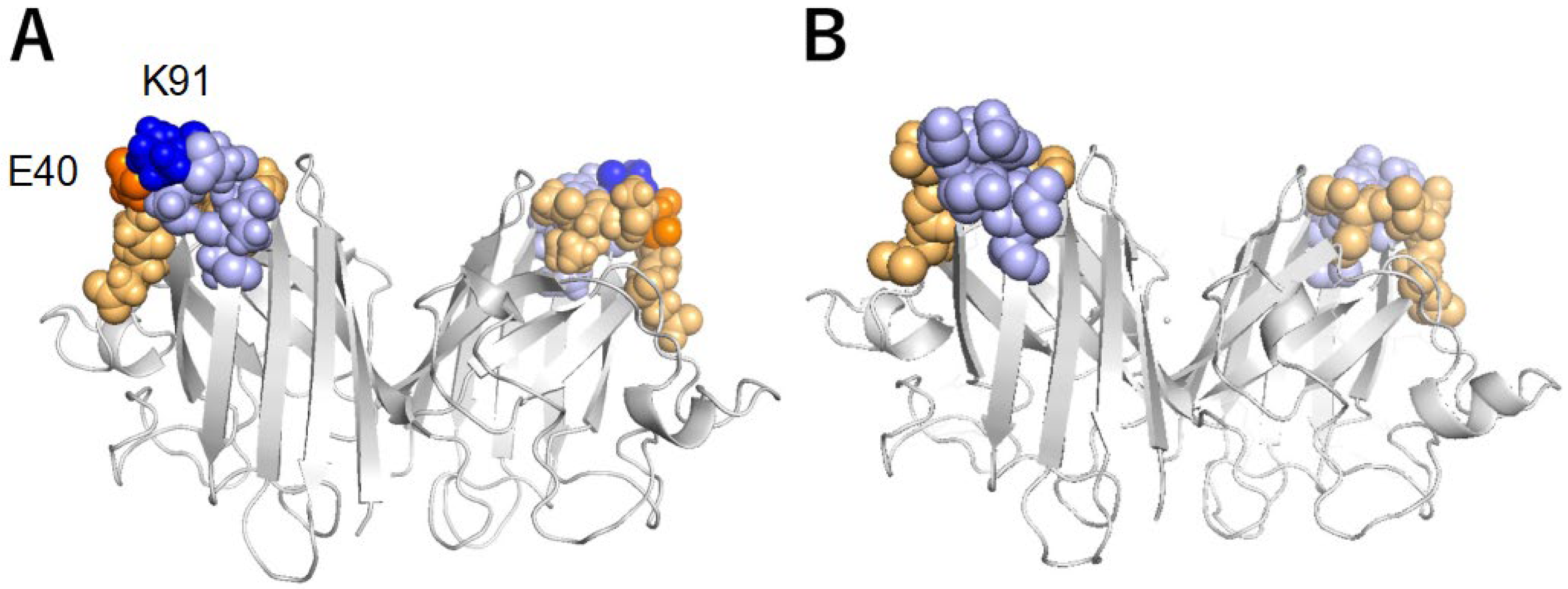Molecules 28 00156 g006