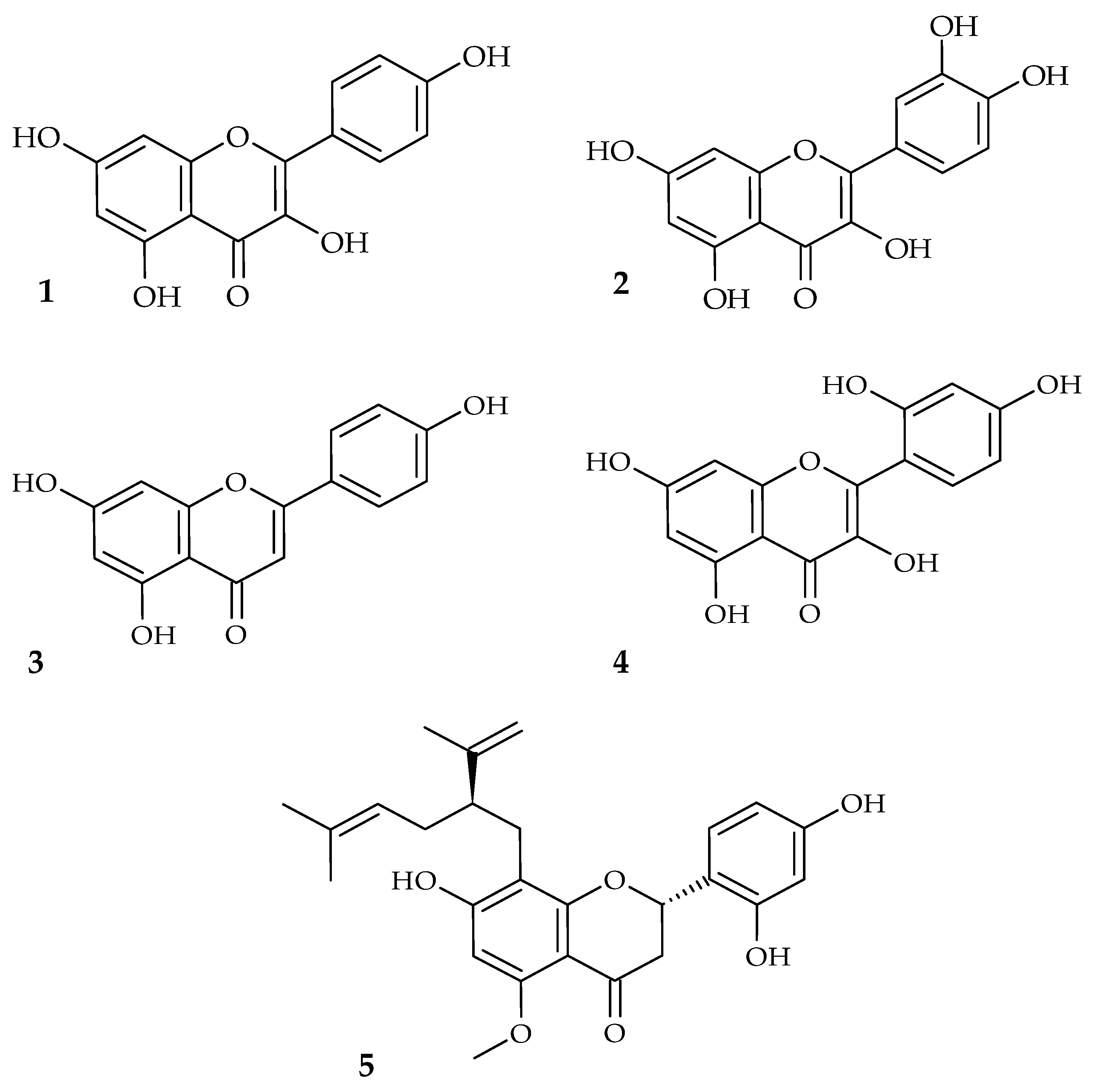 Molecules 28 00158 g001