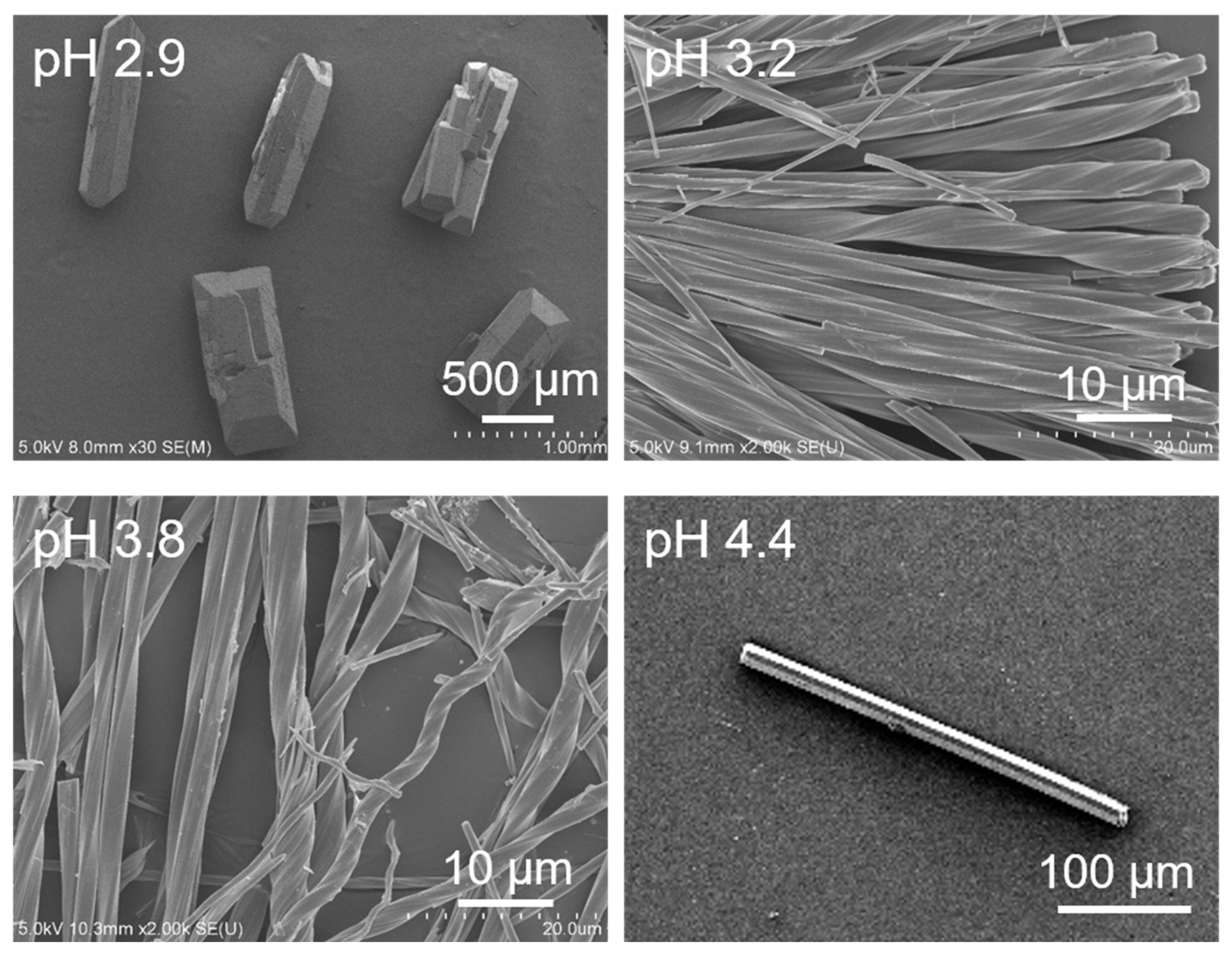 Molecules 28 00163 g001 Molecules 28 00163 g001